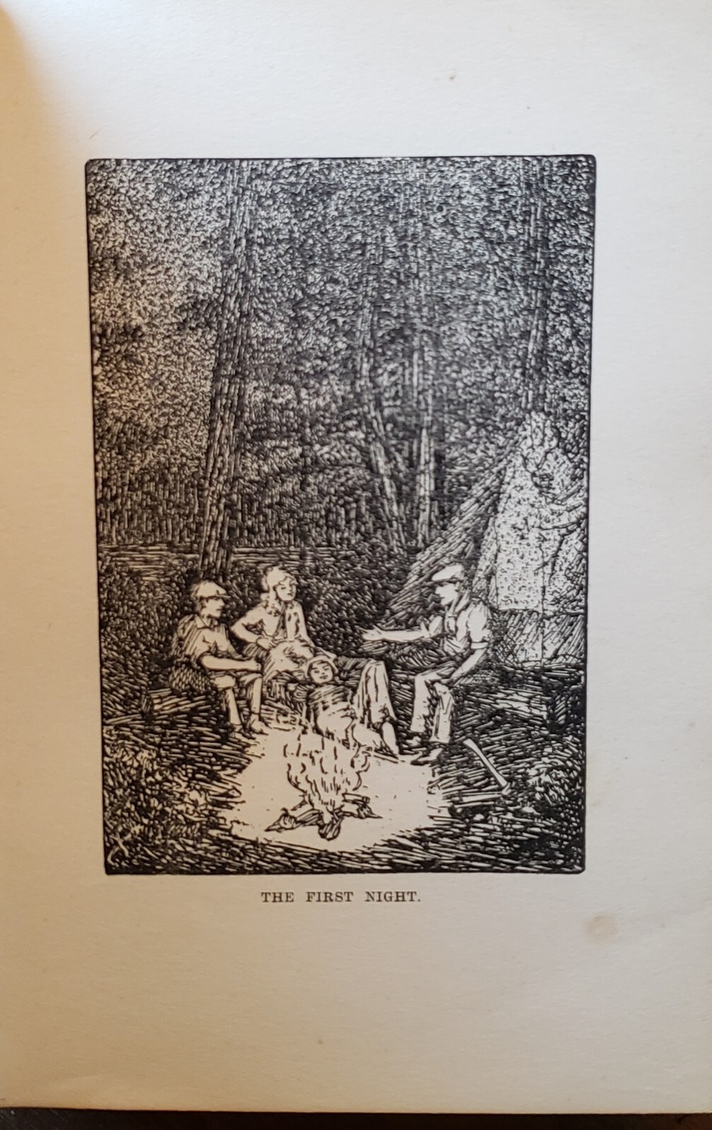 The Wilderness Campers by James C. Hodgins 1921 Canadian 265 pages Hardcover