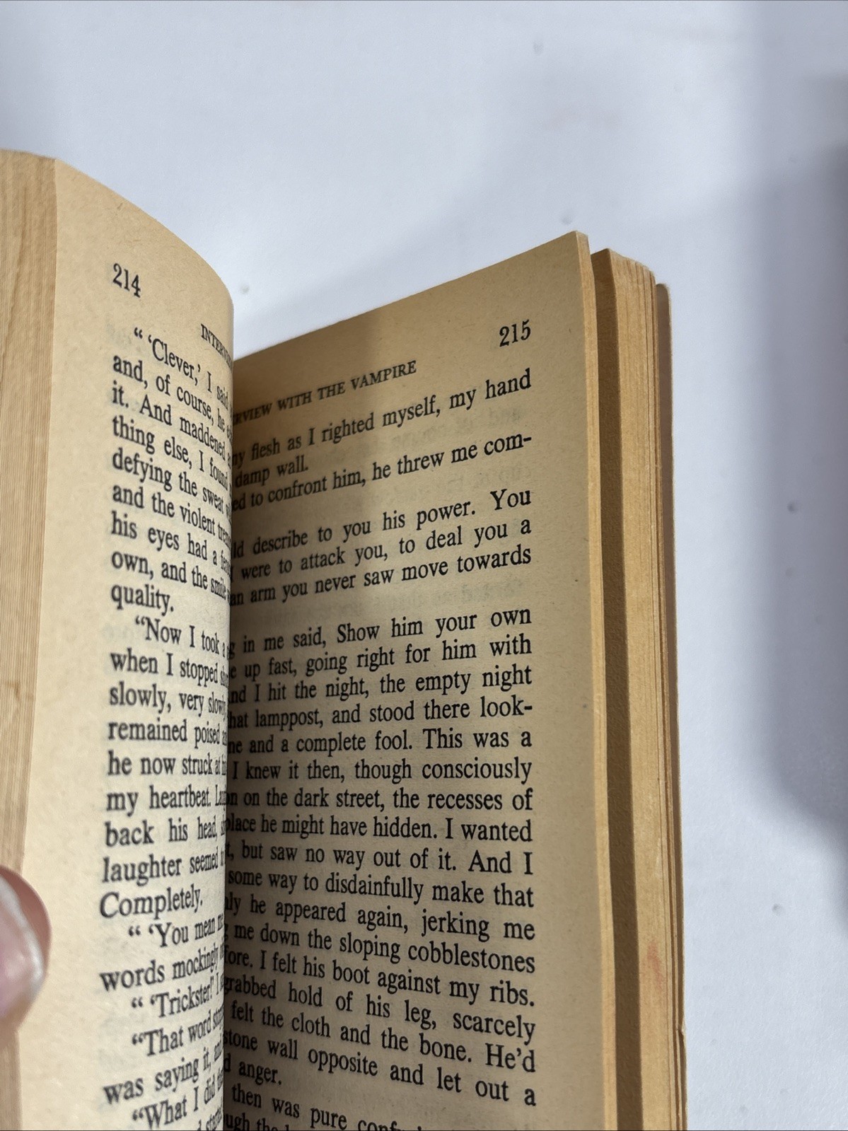 Interview With the Vampire by Anne Rice (Vintage 1977 paperback)