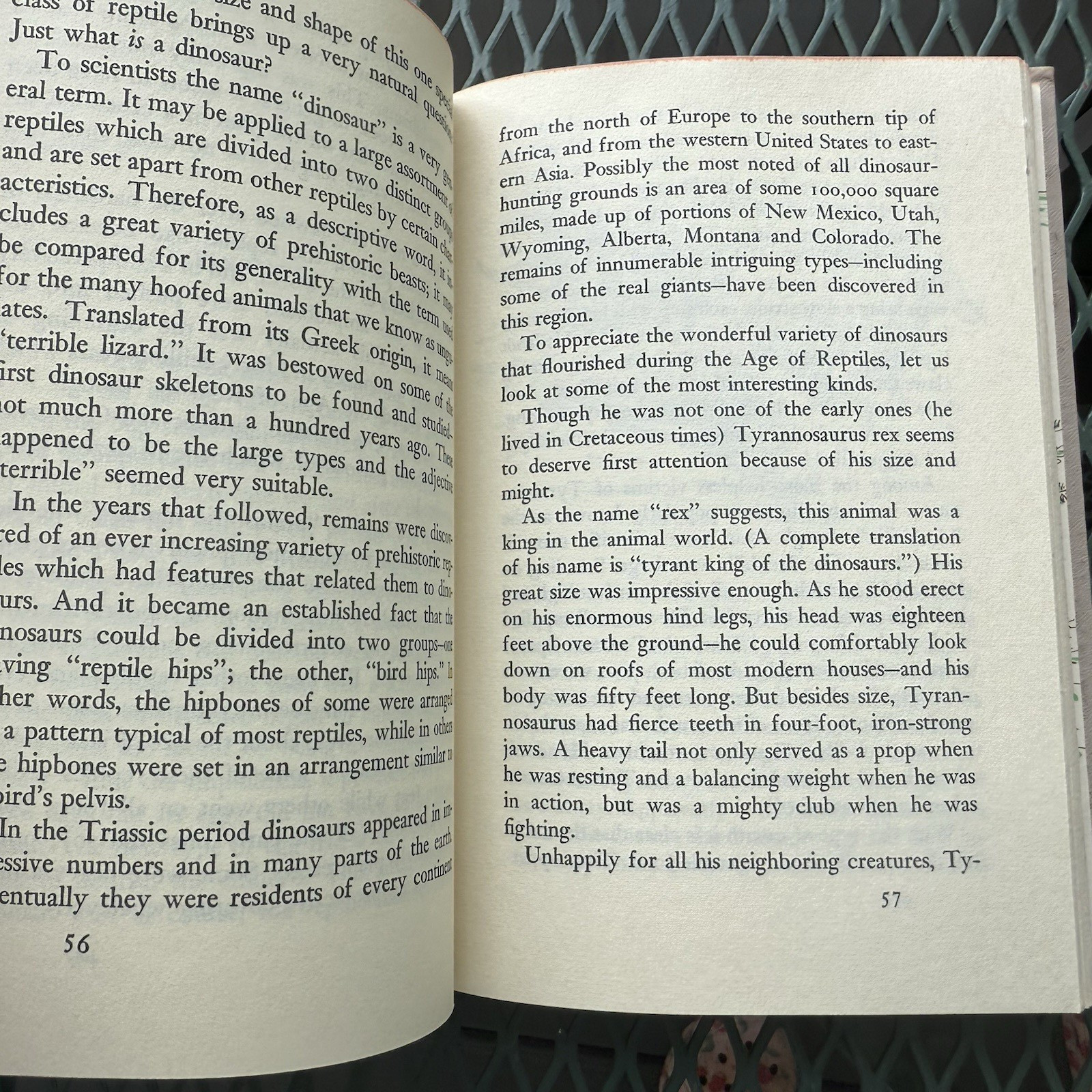1957 The Real Book About PREHISTORIC LIFE Garden City Books