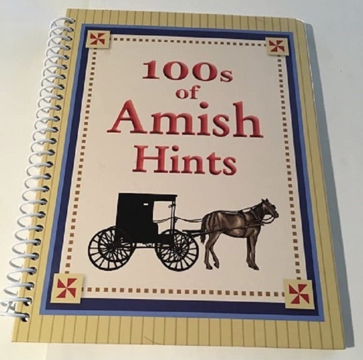 100s of Amish Hints by Barbara R. Duncan