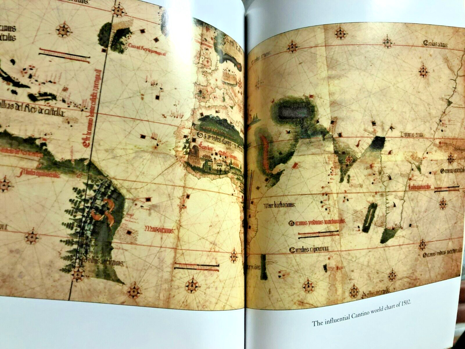 RARE! 1421 : The Year China Discovered America by Gavin Menzies GREAT SOFTCOVER