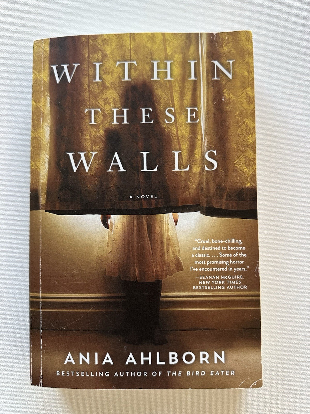 Within These Walls By Ania Ahlborn – Horror Paperback Novel – Like New