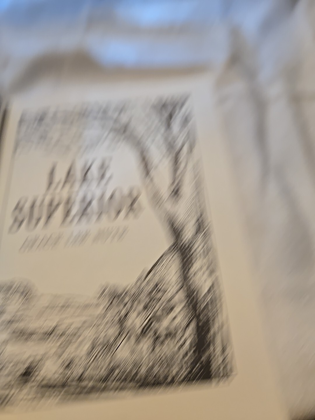 Lake Superior – Paperback By Nute, Grace Lee -2000 TPB