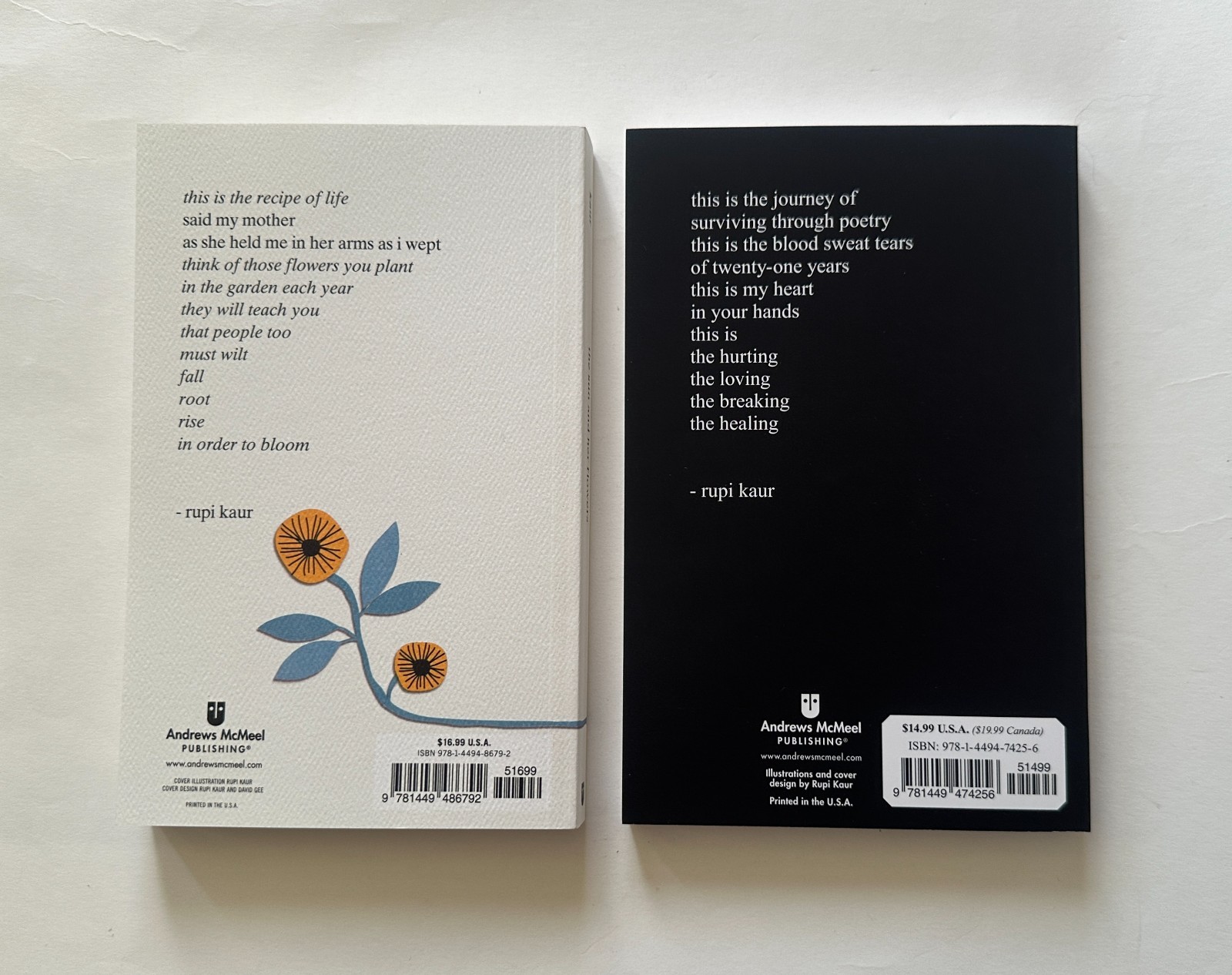 THE RUPI KAUR BOX SET Mild and Honey/Sun and Her Flowers | 2022 Trade Paperback