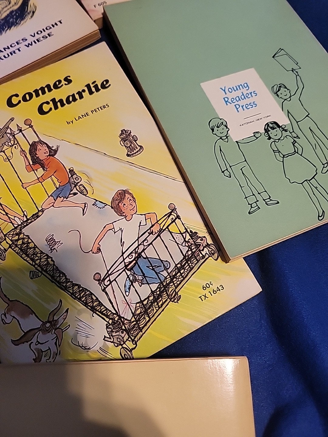 Vintage Young Readers Press ,scholastic And Others Pb Books