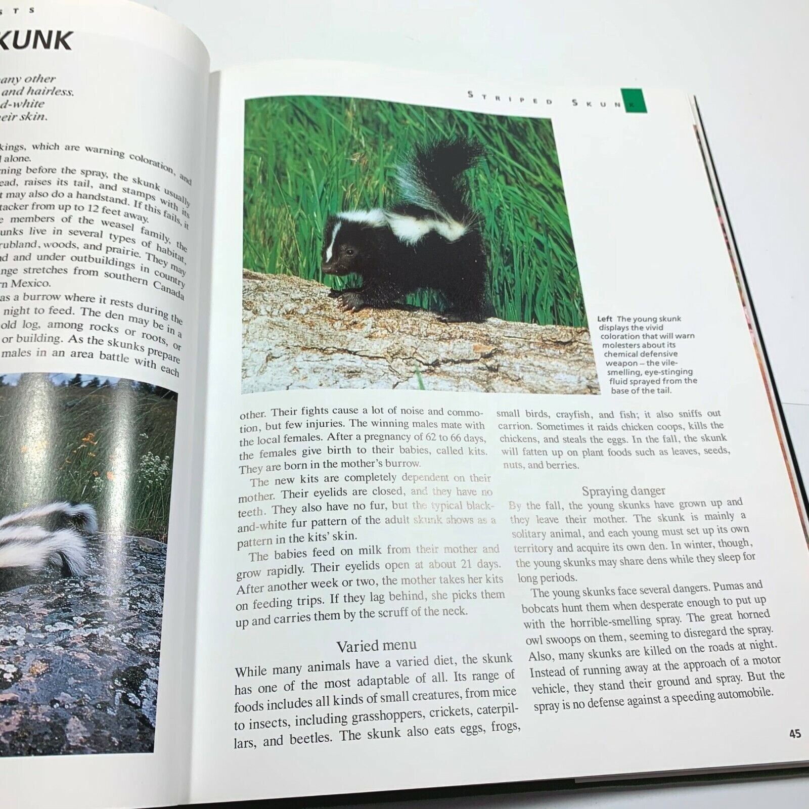 Animal Babies Steve Parker Hardcover Book Habitat Guide to Wild Animals 1994