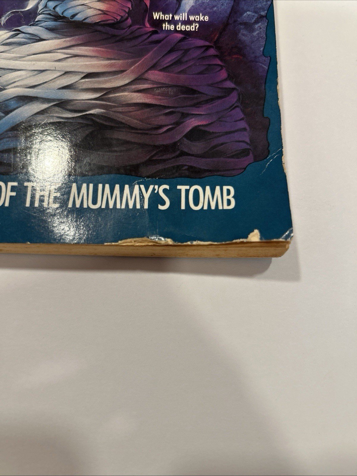 Goosebumps #5 The Curse of the Mummy’s Tomb ~ R.L. Stine
