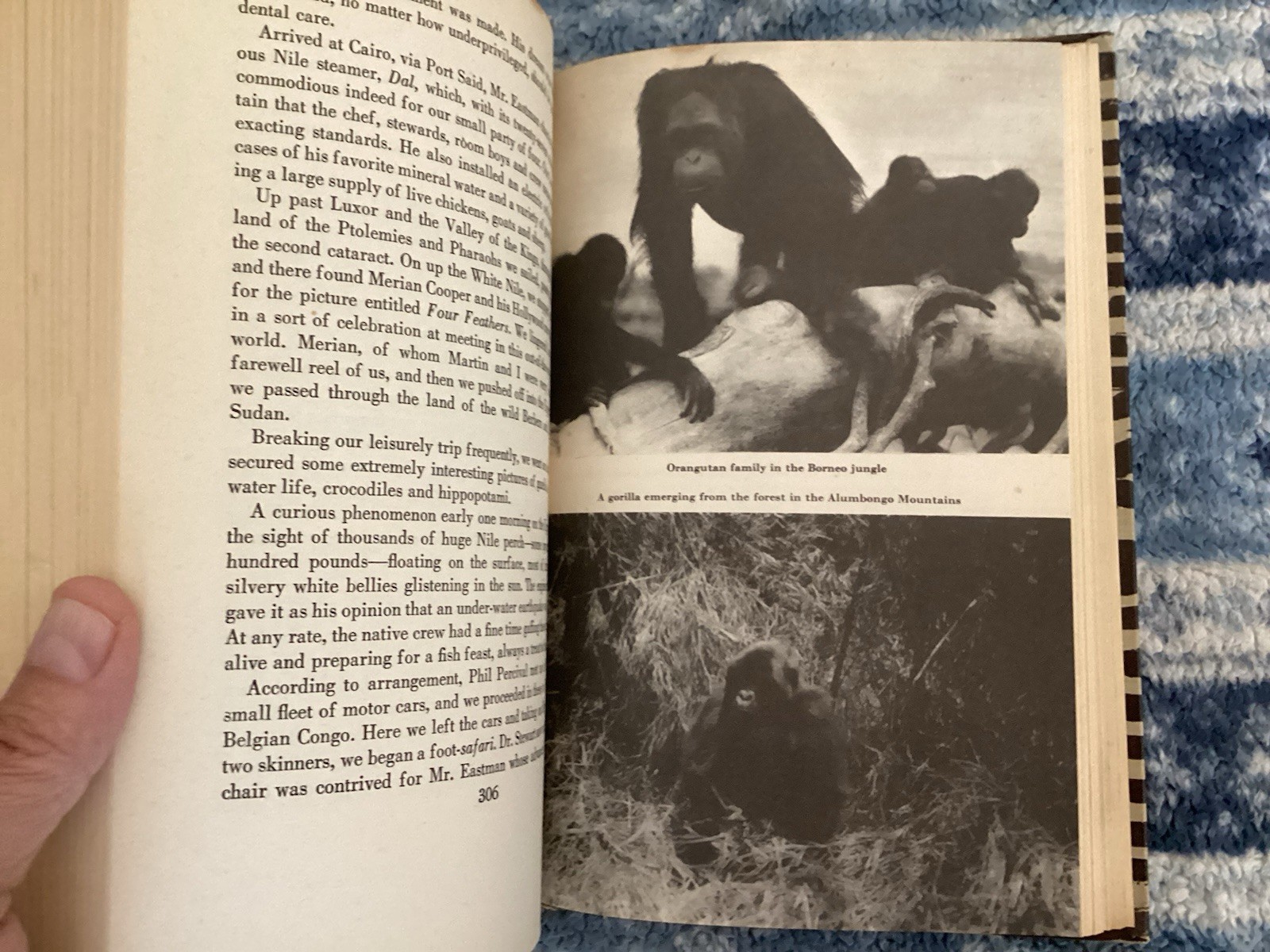 Osa Johnson I MARRIED ADVENTURE | 1942 Halcyon House Hardcover