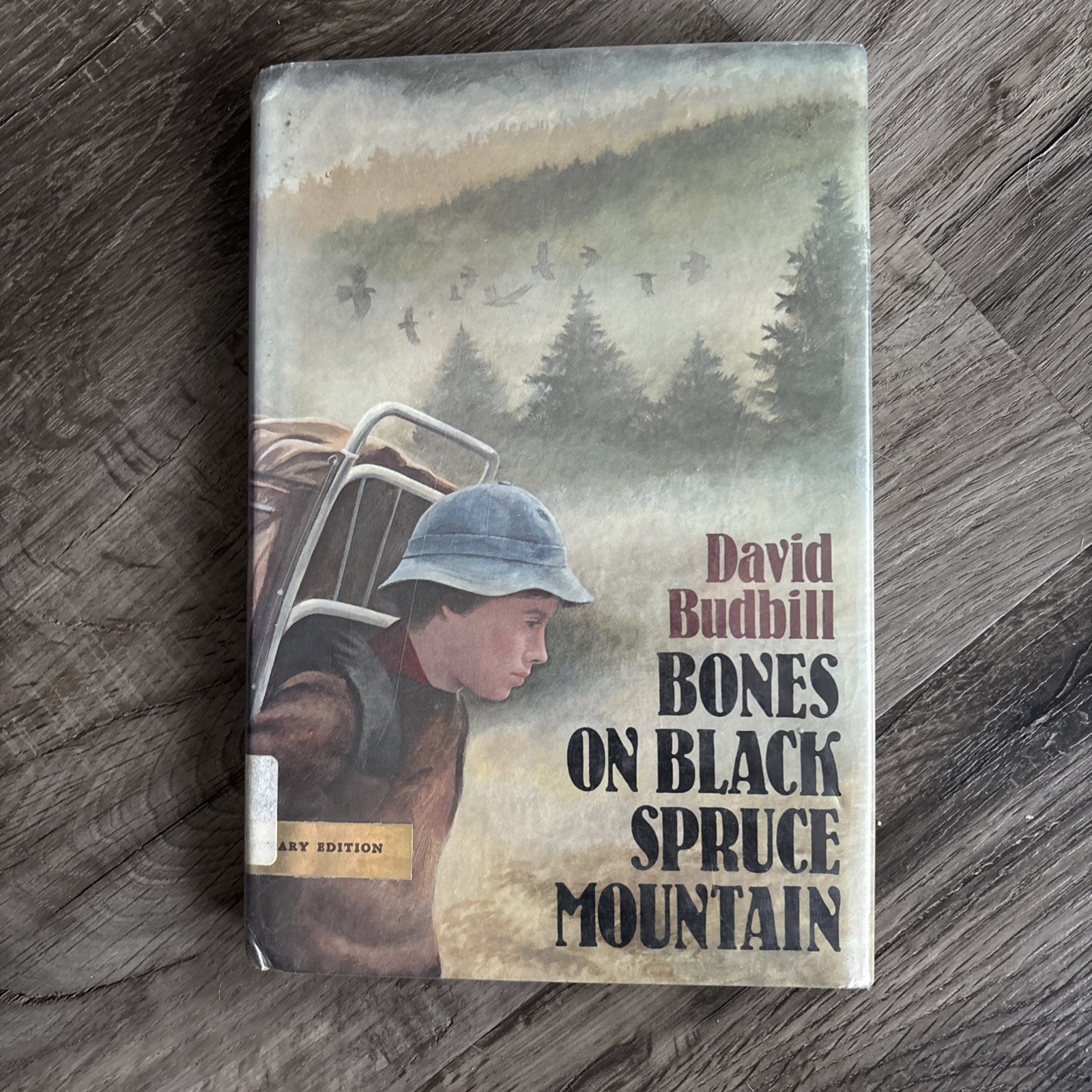 The Bones on Black Spruce Mountain by David Budbill (Dial Press, 1978)