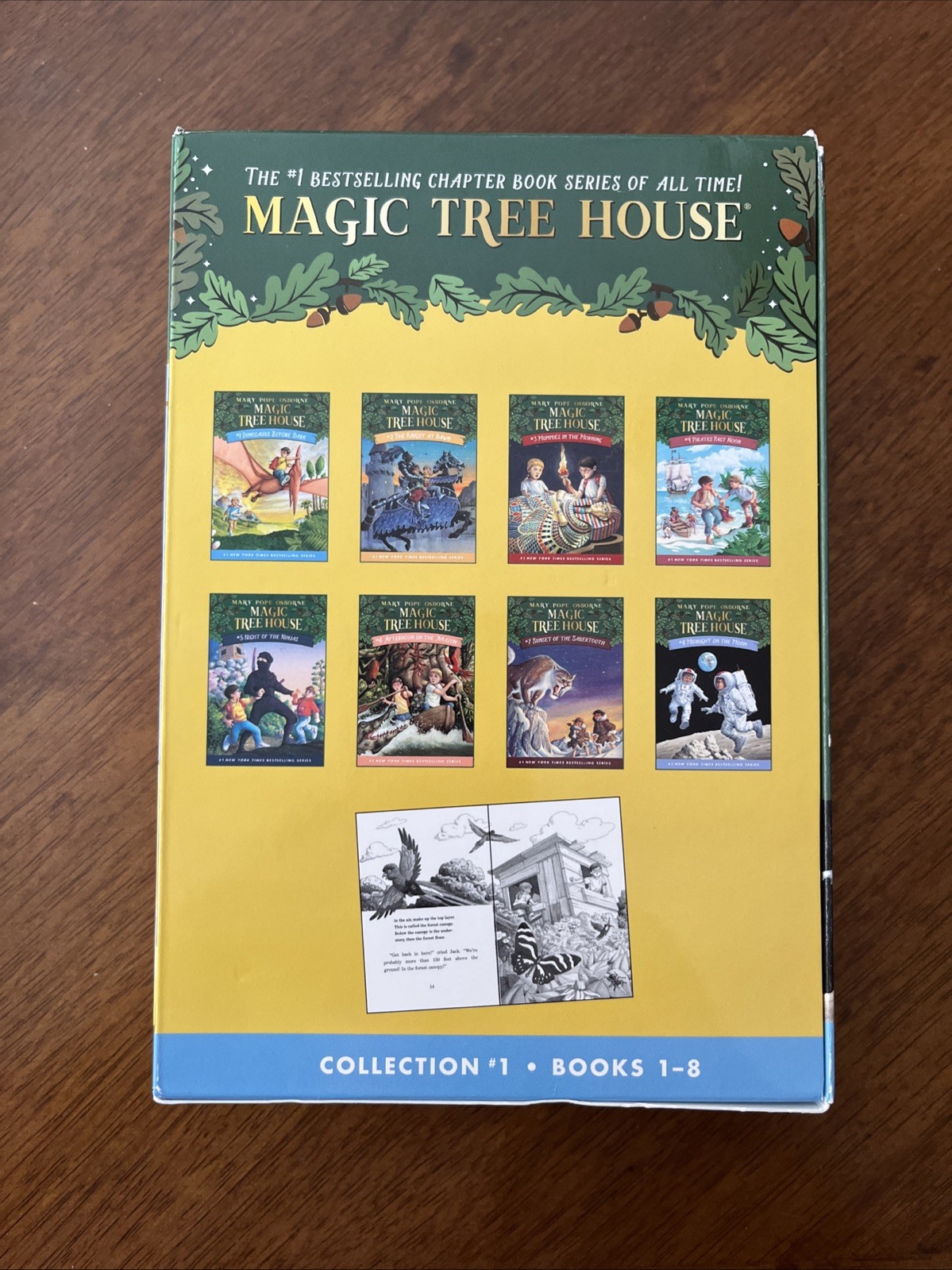 Magic Tree House Box Set Books 1-8 by Mary Pope Osborne