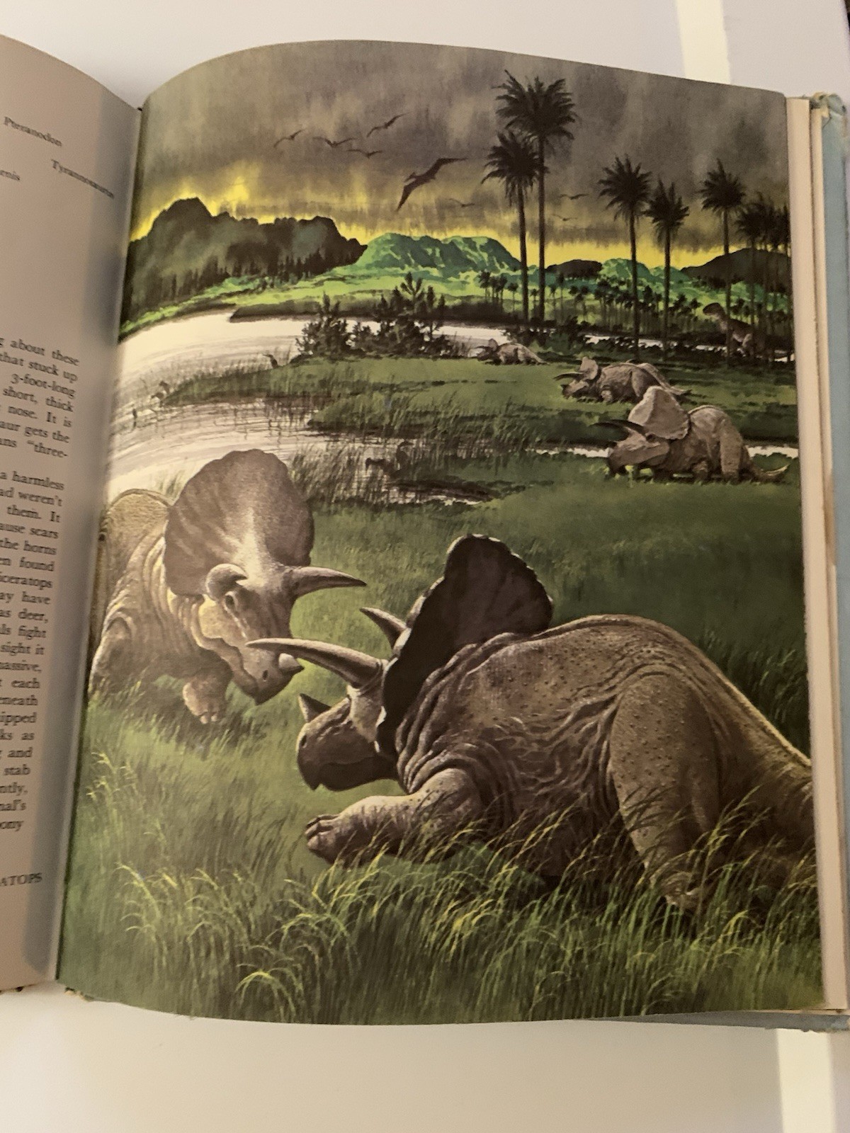 Album of Dinosaurs by Tom McGowen (1972, Hardcover)