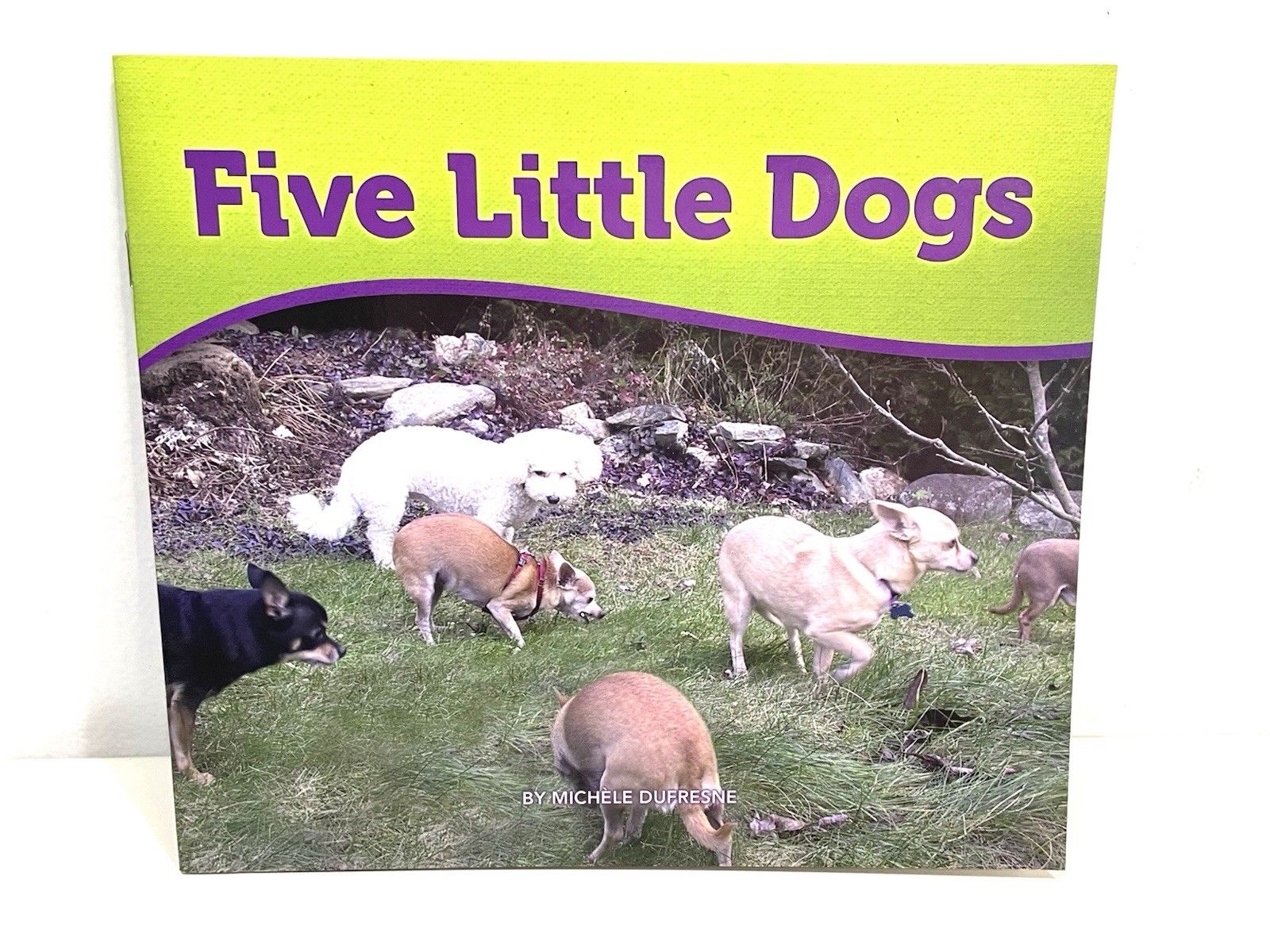 Bella & Rosie Early Readers Books Green 6 Pioneer Valley Dufresne Homeschool B