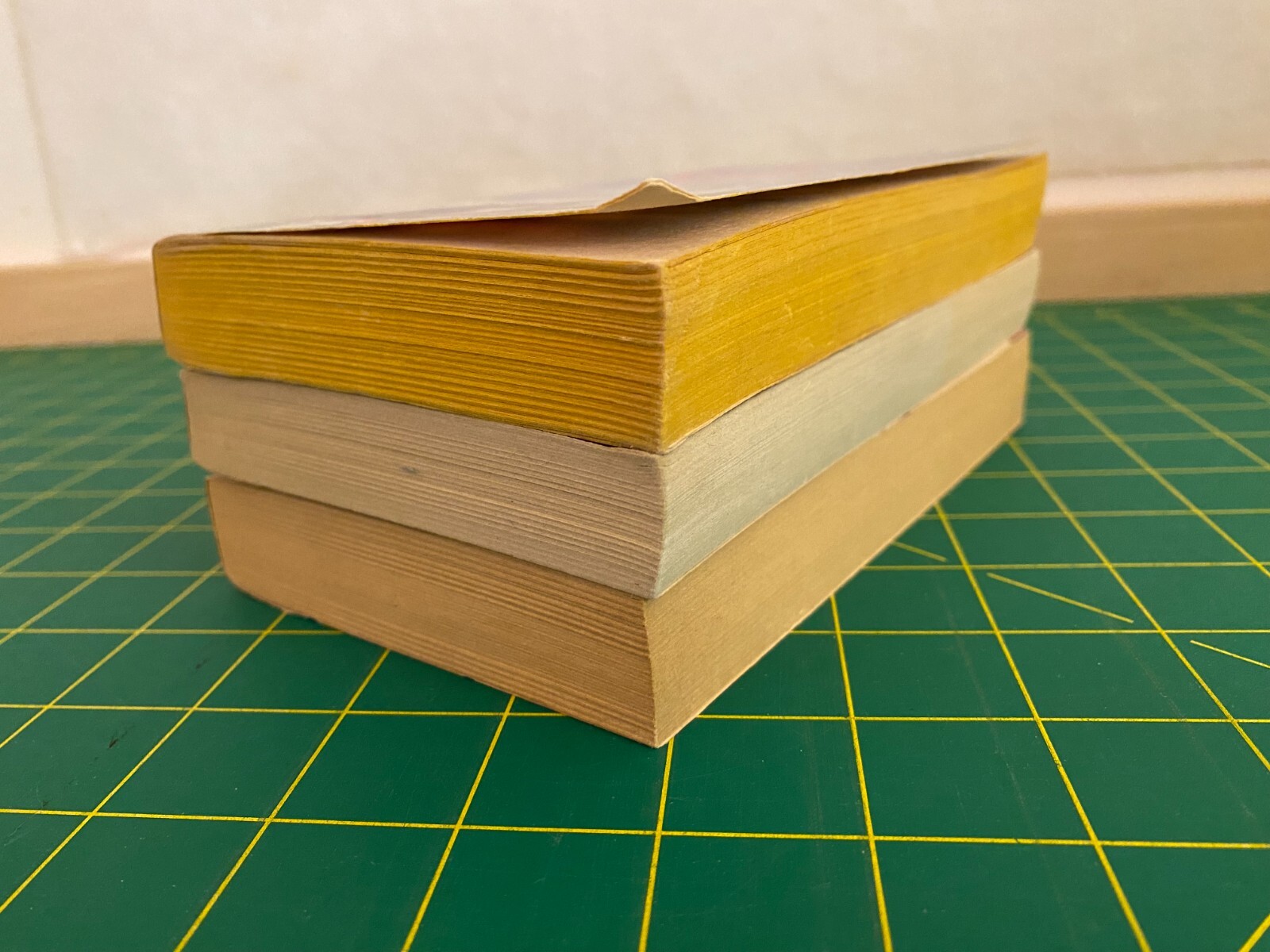 J. S. Borthwick – lot of 3 paperback books – MAINE