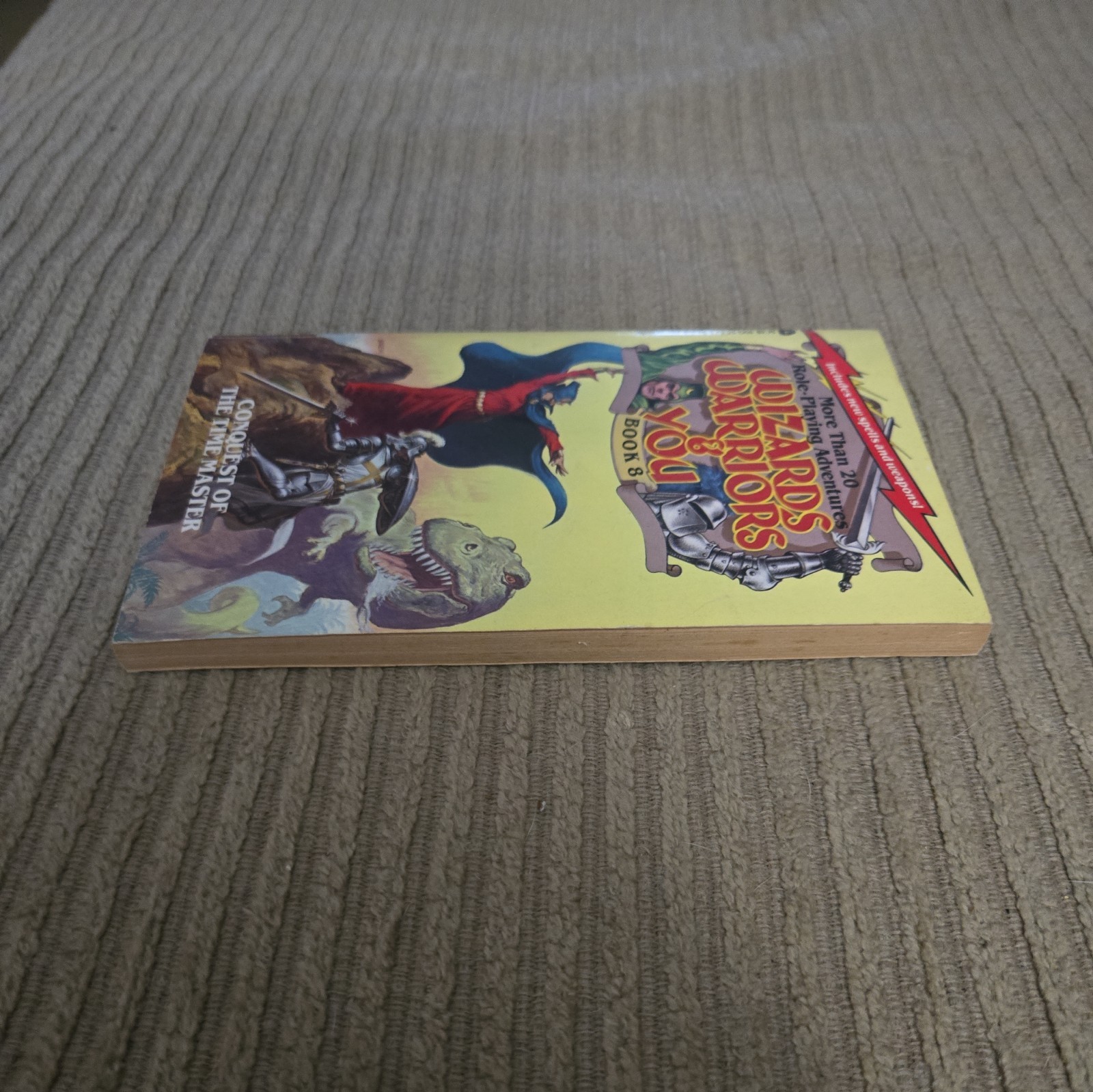 Wizards Warriors & You Book #8 Conquest of the Time Master (+20 adventures)