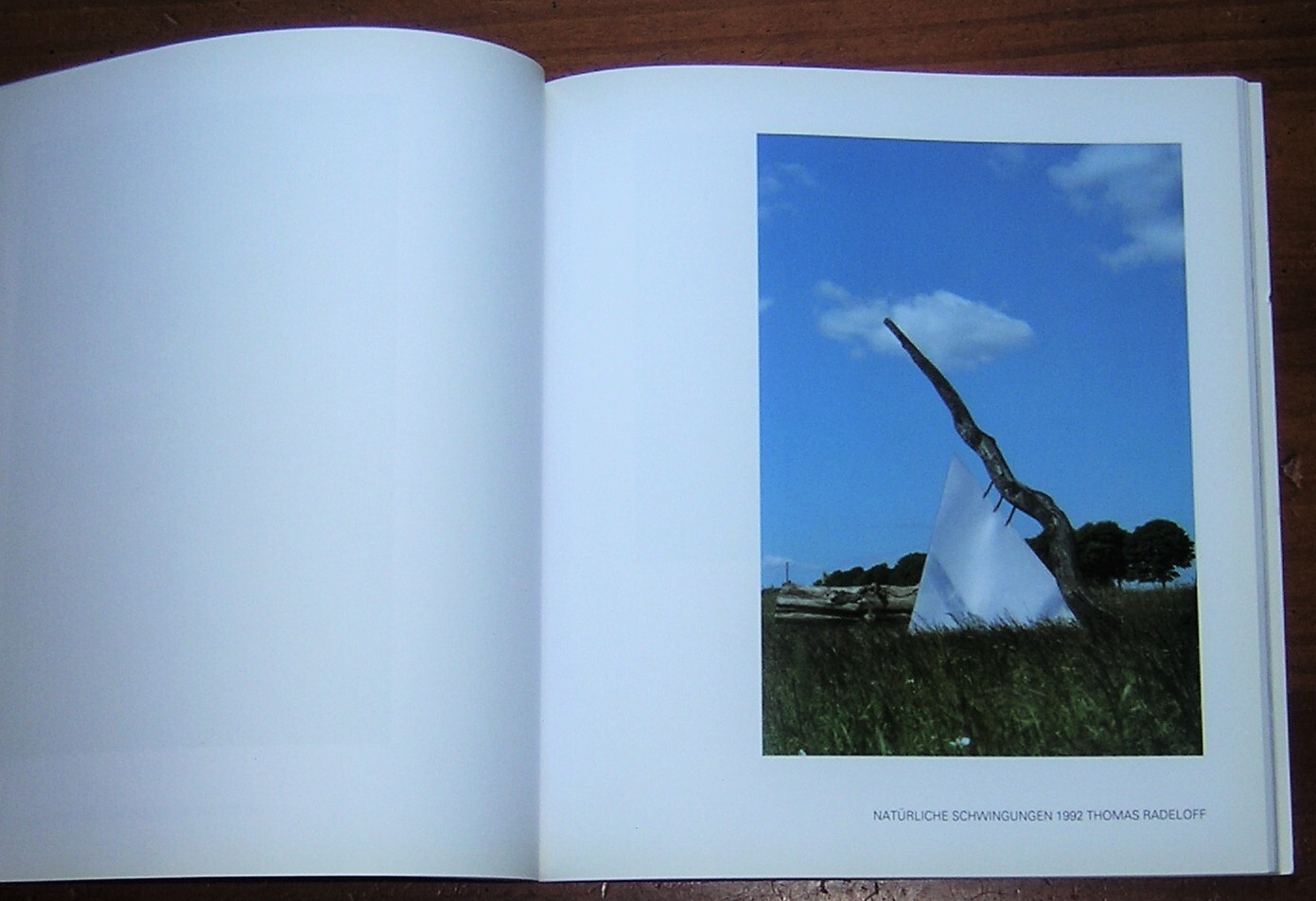 Skulpturen Sculpture Park Katzow Germany Thomas Radeloff 1992 Book Color Photos