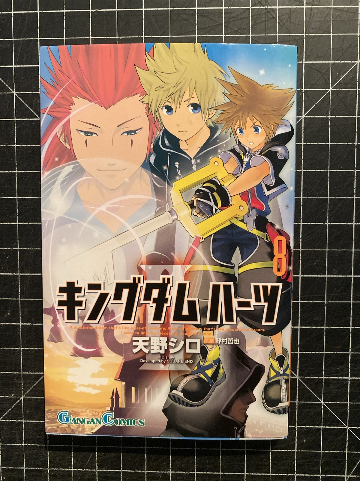 KINGDOM HEARTS (4 Volumes, Japanese Editions, Square Enix, Paperback)