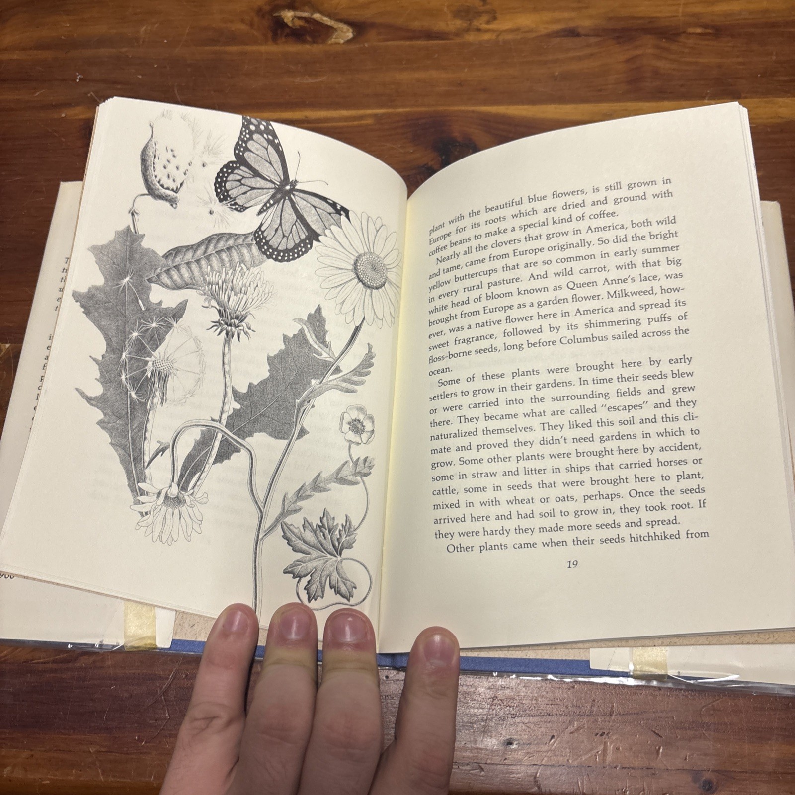 Vintage This World Of Wonder By Hal Borland, Illustrated By Peter Zallinger