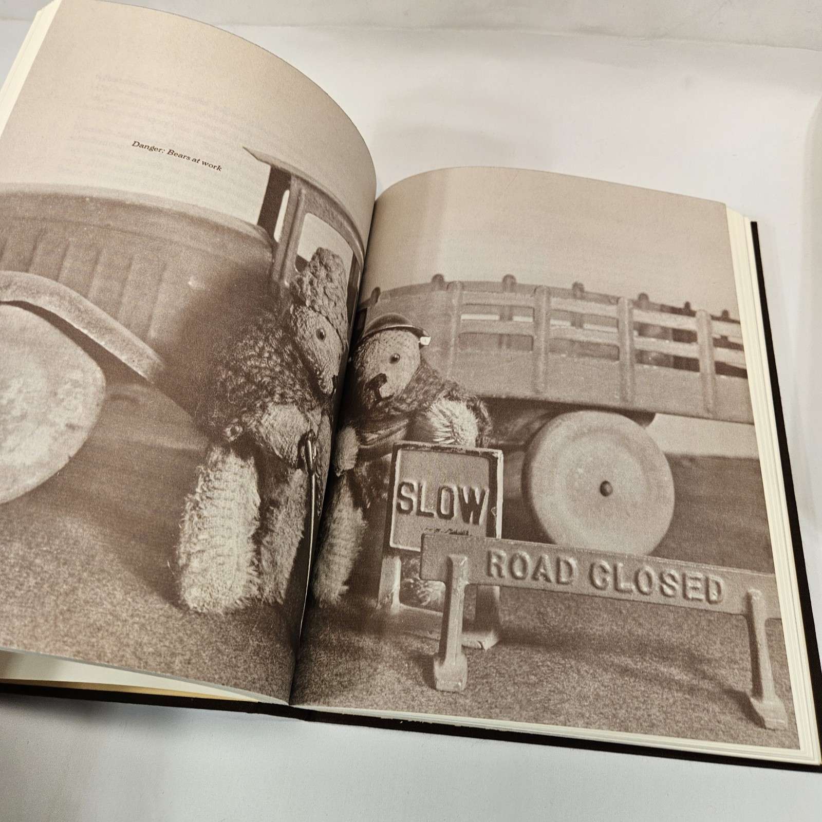 The Teddy Bear Book by Peter Bull (Signed limited edition) 5241/10,000