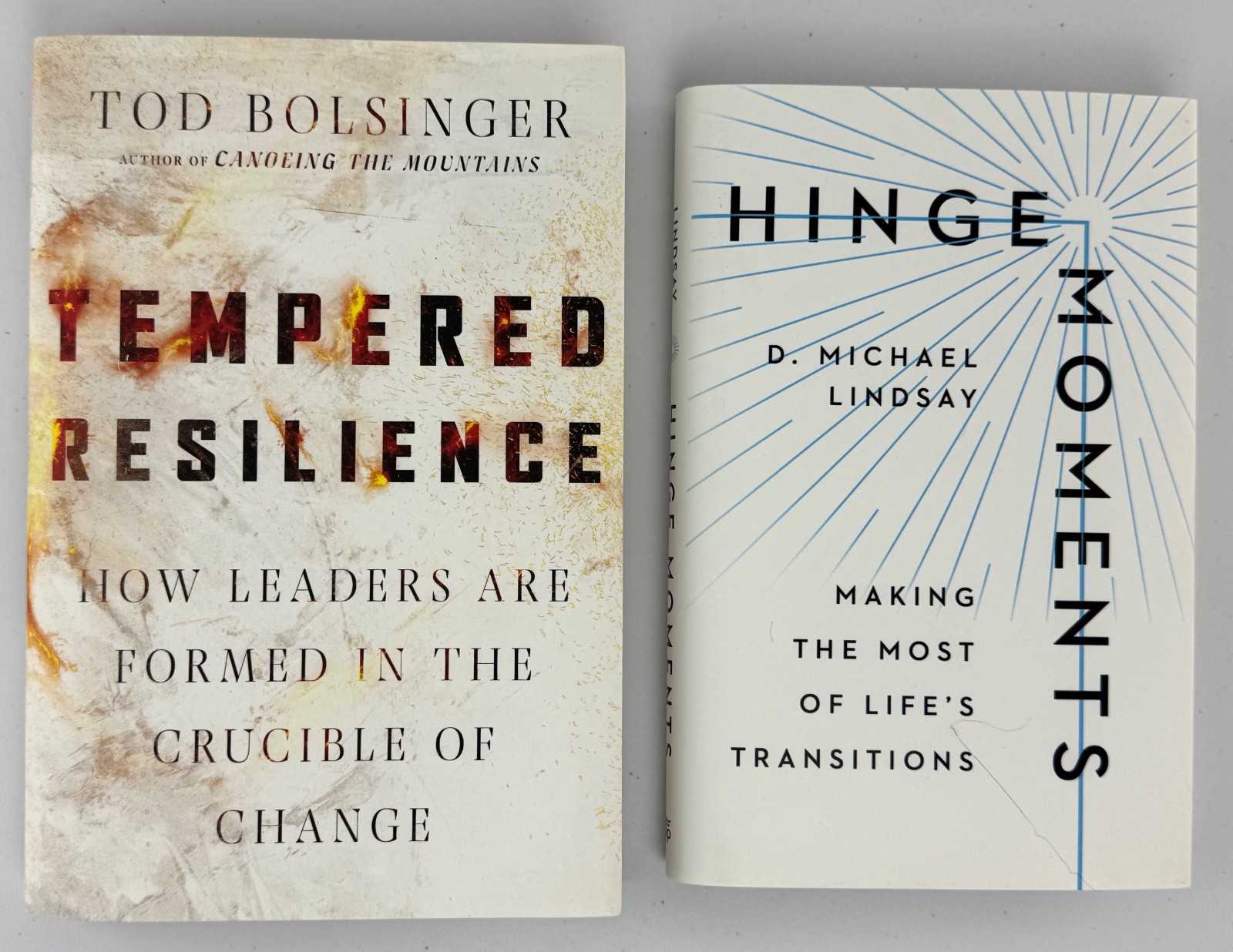 2 Christian Books Lot Tempered Resilience; Hinge Moments; Bolsinger/Lindsay