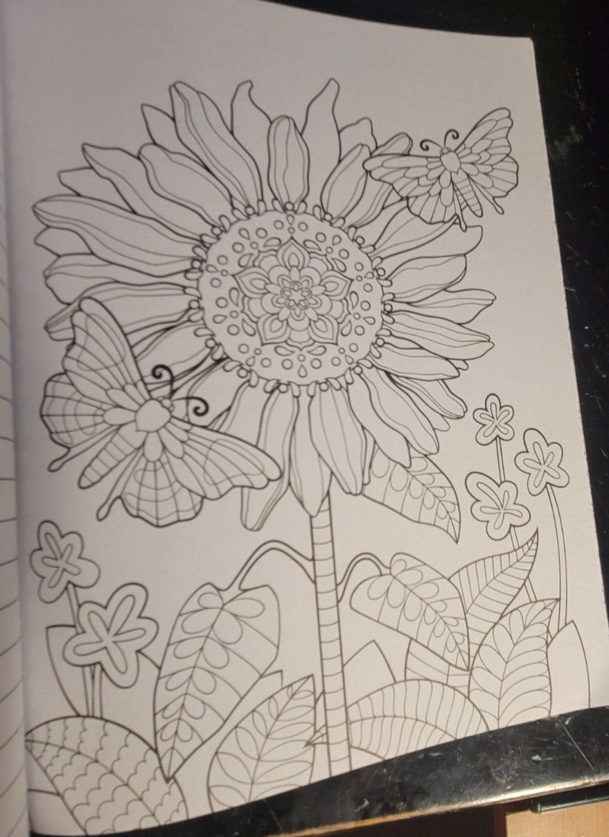 COLOR ME CALM JOURNAL Vol 3 – Adult Coloring Book by TOPIX MEDIA – 47 PRINTS