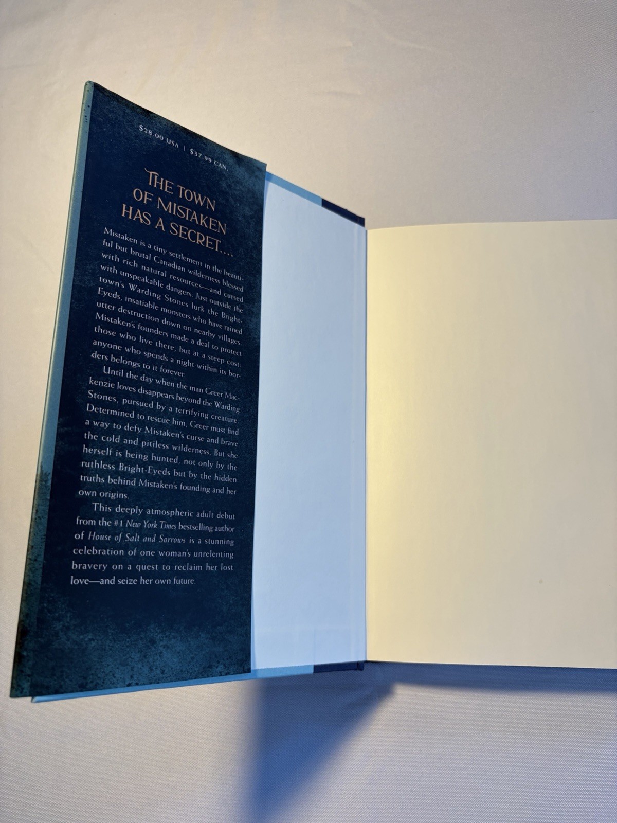 A Land So Wide : A Novel by Erin A. Craig (2025, Hardcover)