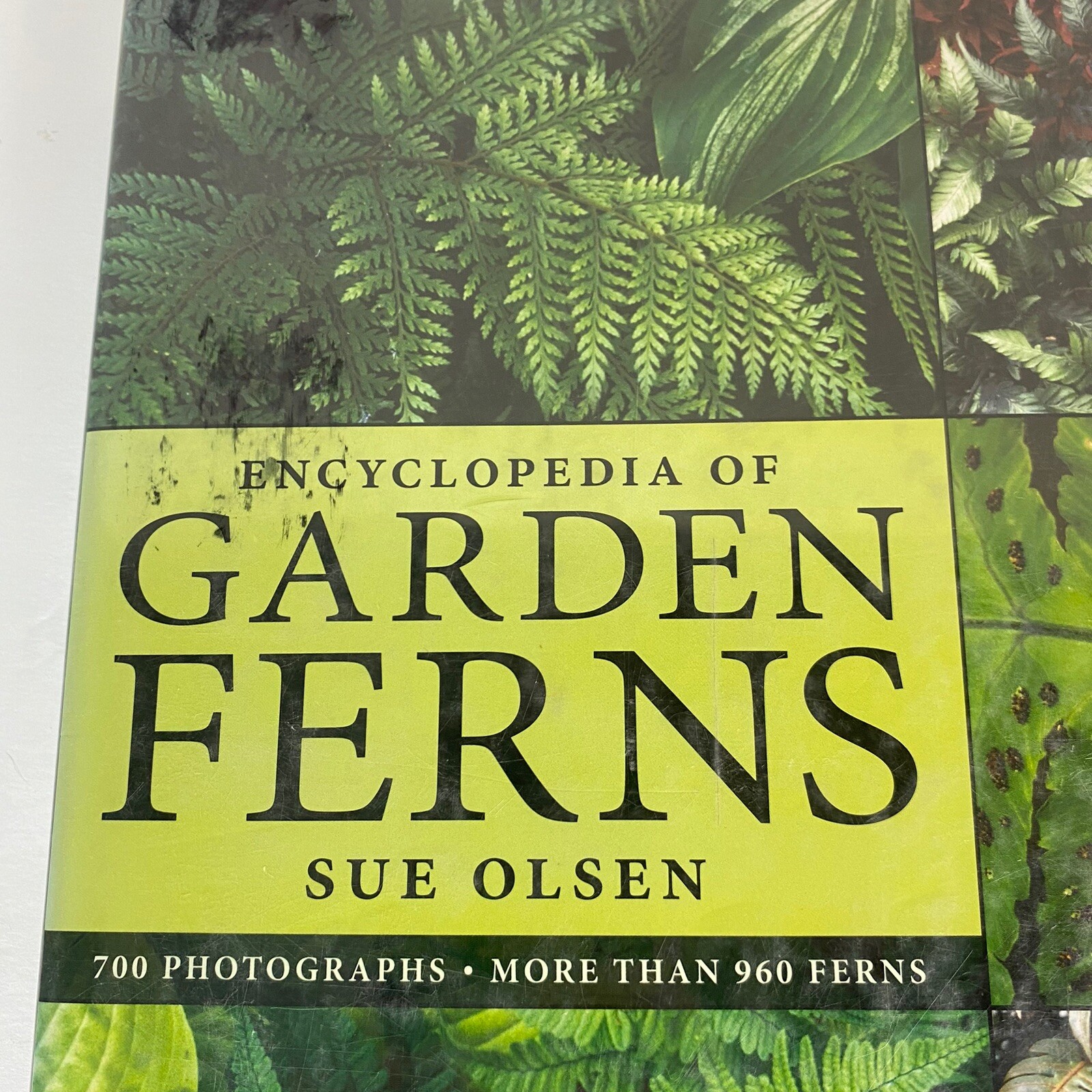 Garden Ferns Unlocked: Sue Olsens Ultimate Visual Guide to 950+ Stunning Ferns