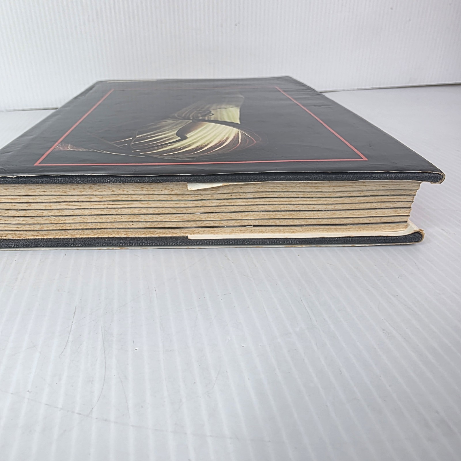 Aroids : Plants of the Arum Family by Deni Bown (2000, Hardcover)