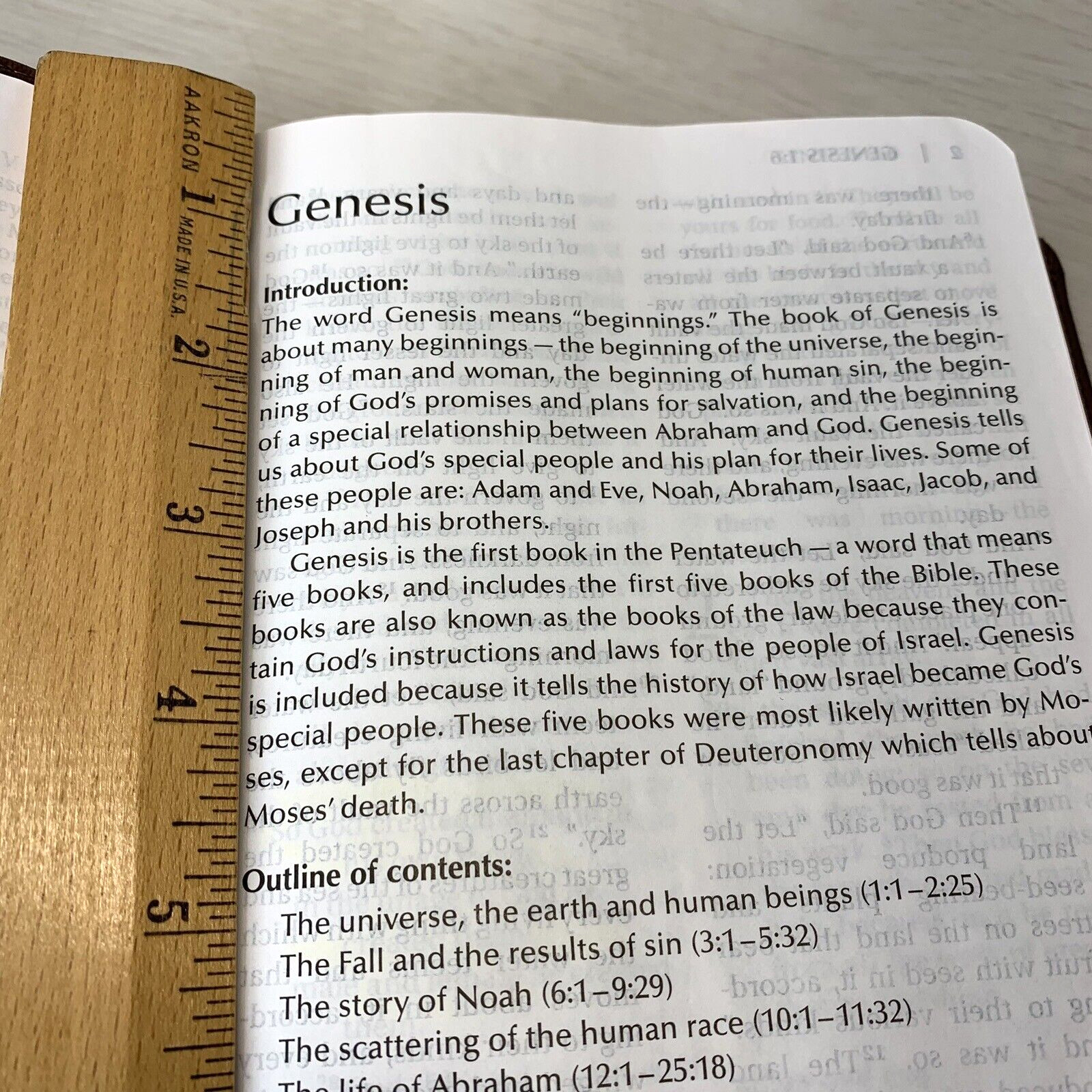 NIV Holy Bible Large Print Chocolate/Amber Duo Tone Brown Leather Cover