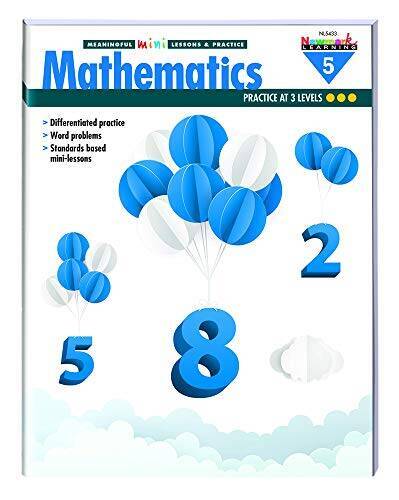 Mathematics Meaningful Mini-Lessons Practice Grade 5 (Meaningful Mini-L – GOOD