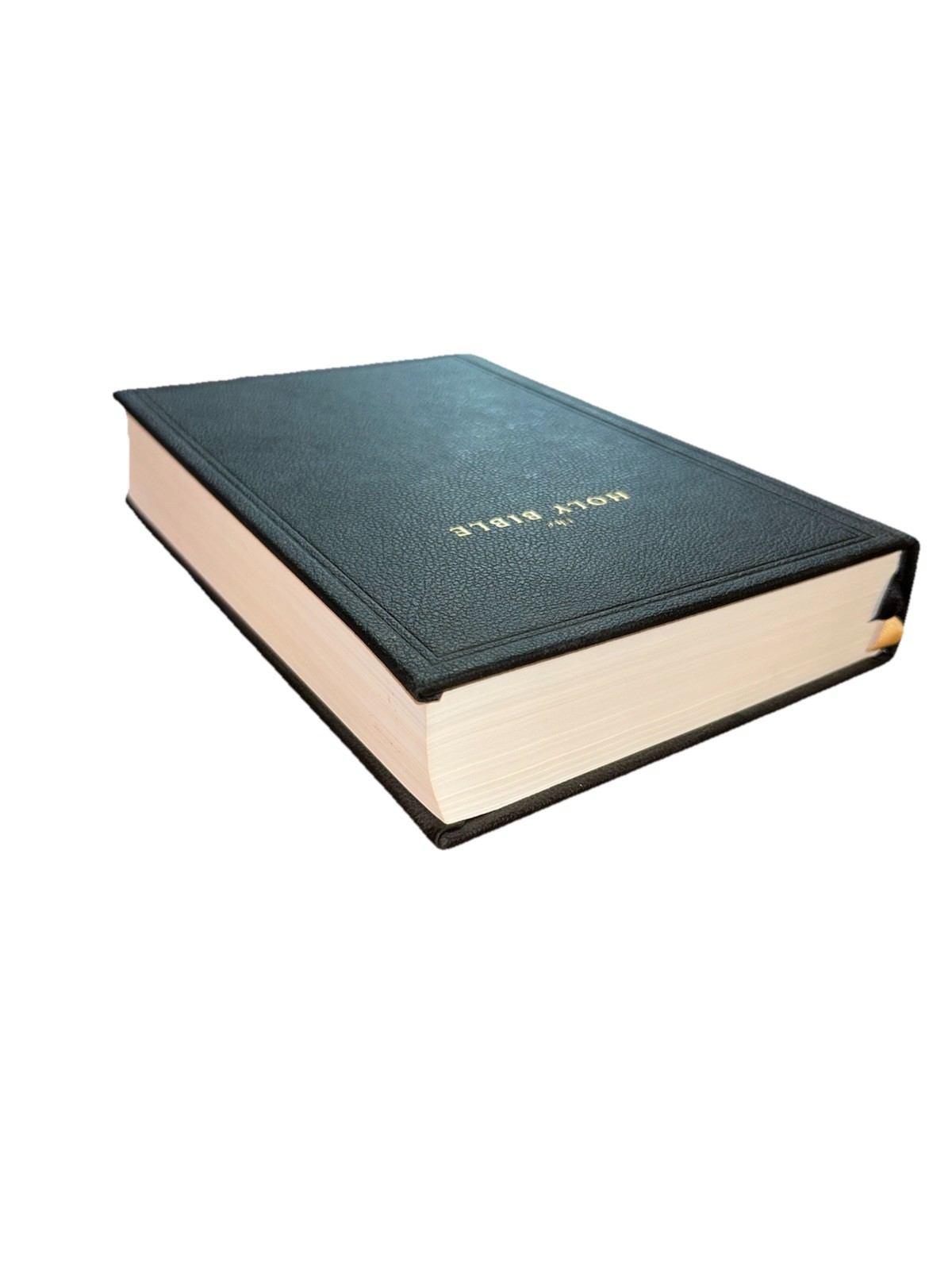 Legacy Standard Bible Holy Bible Handy Size Edition Steadfast 2021