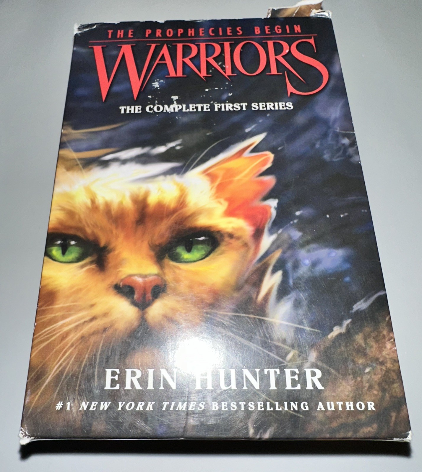 Warriors: The Prophecies Begin by Erin Hunter – First Series Books 1-6 Paperback
