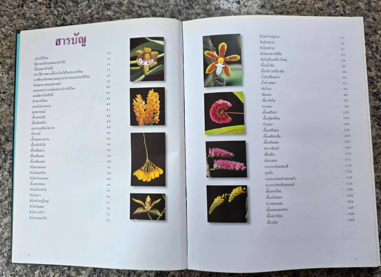 Hardcover book featuring all ” Thai orchids. ” ( Hardcover)