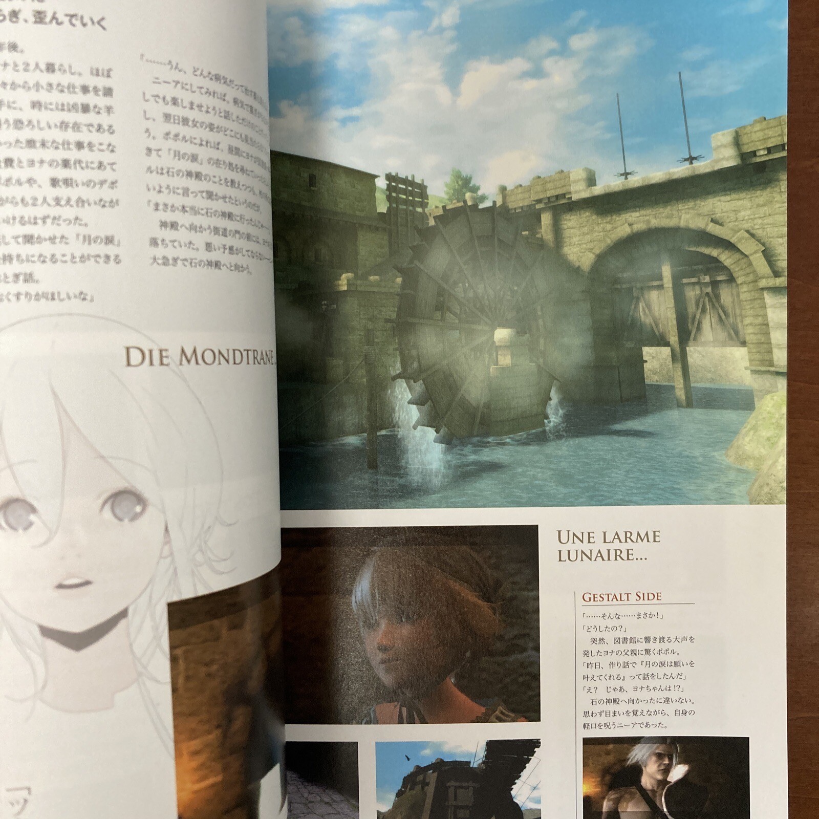Grimoire NieR Guide Book Art Book Illustration
