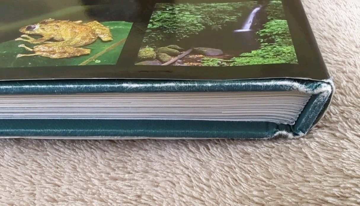 Monteverde: Cloud Forest Preserve Hardcover. English & Spanish, 152 pages