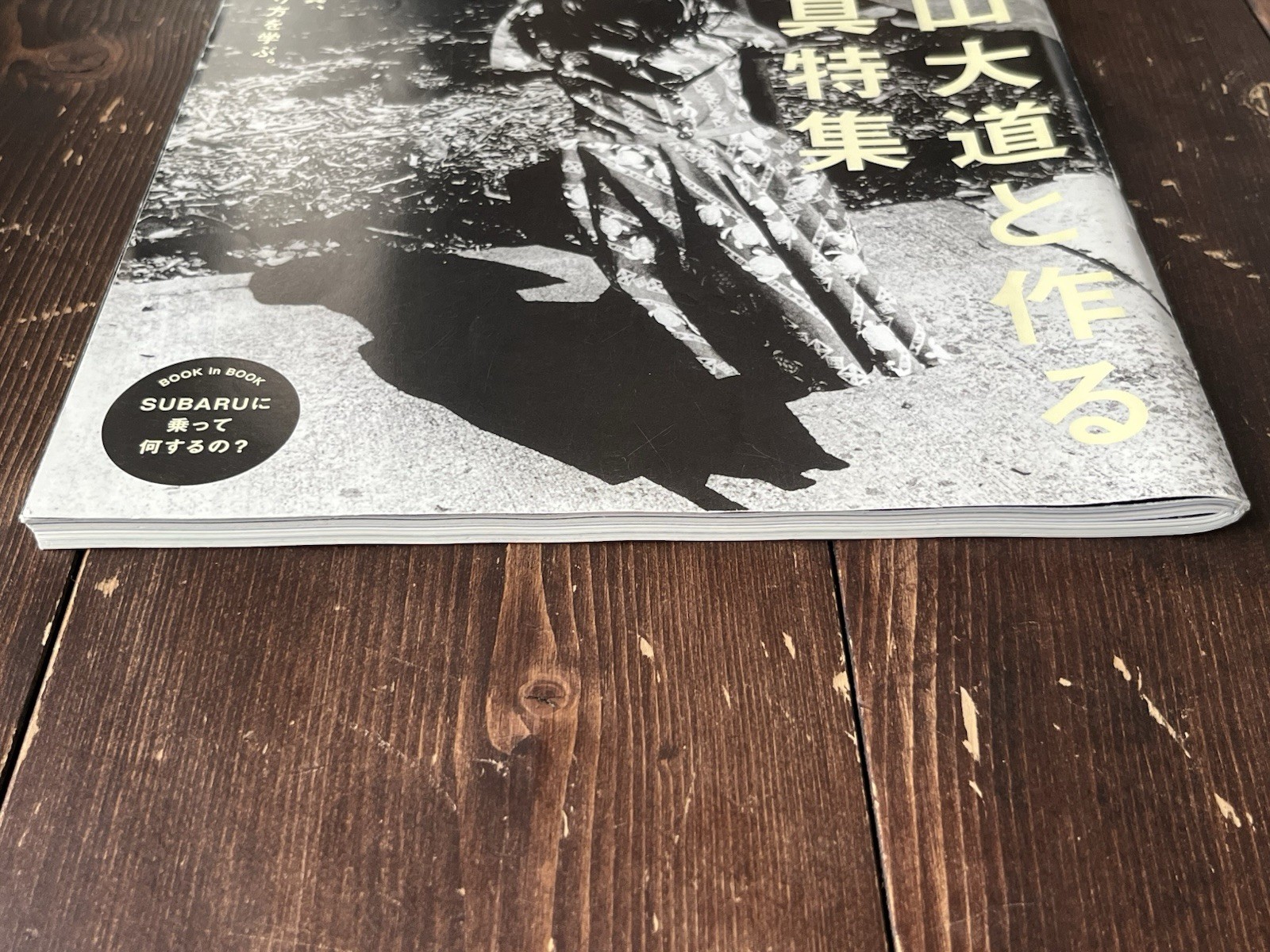 DAIDO MORIYAMA SPECIAL ISSUE 2016 VOL.818 BRUTUS MAGAZINE BOOK INCLUDE BOOKLET
