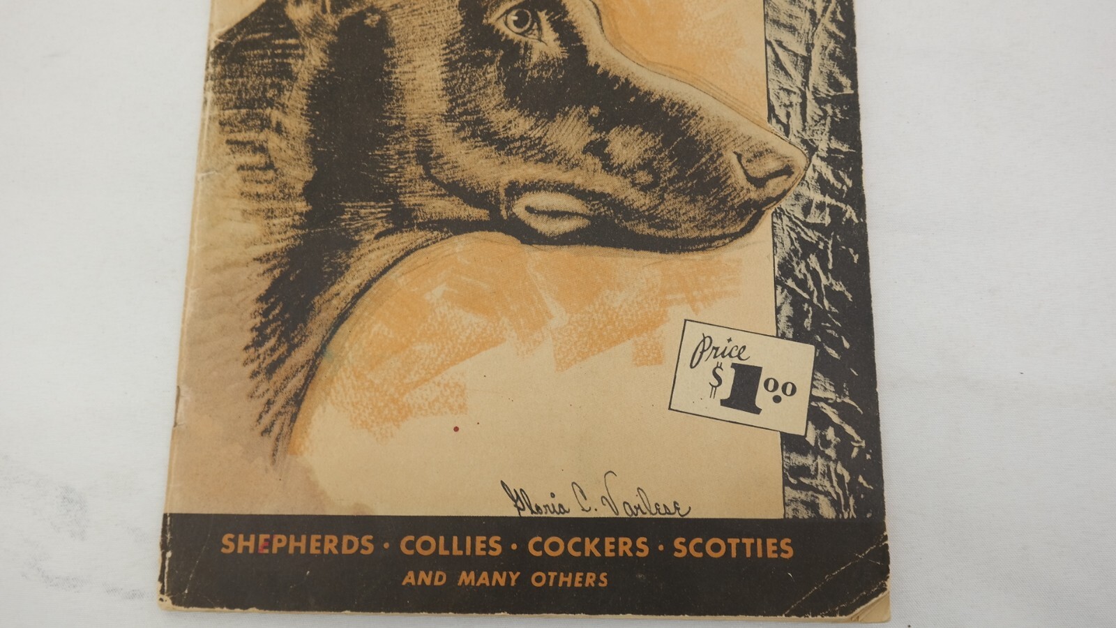 Vintage How To Draw Dogs by Walter T Foster Paperback Booklet TF