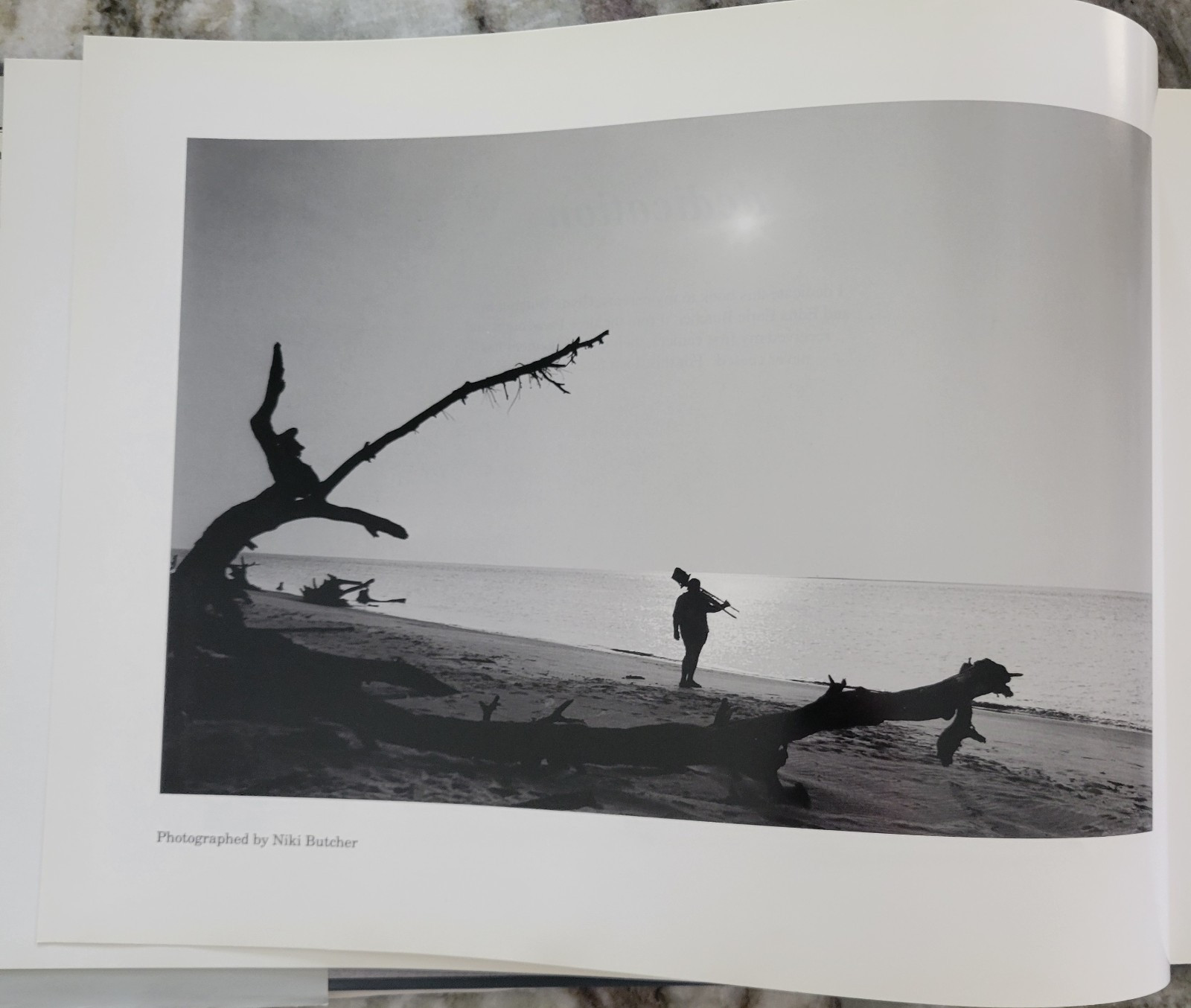 Clyde Butcher, Portfolio I: Florida Landscapes by Clyde Butcher