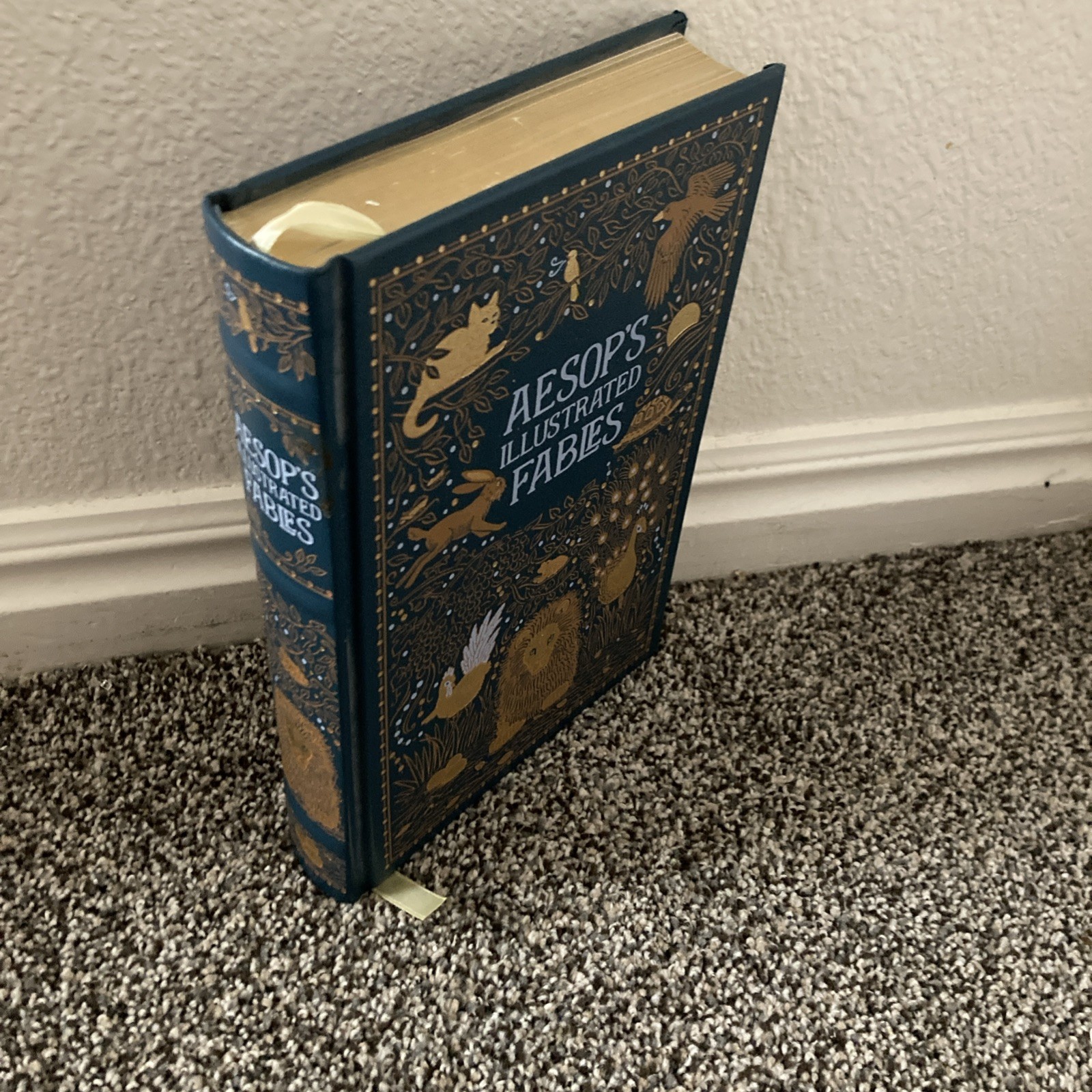 Aesop’s Illustrated Fables Barnes And Noble Leather Hardcover Collectors Edition