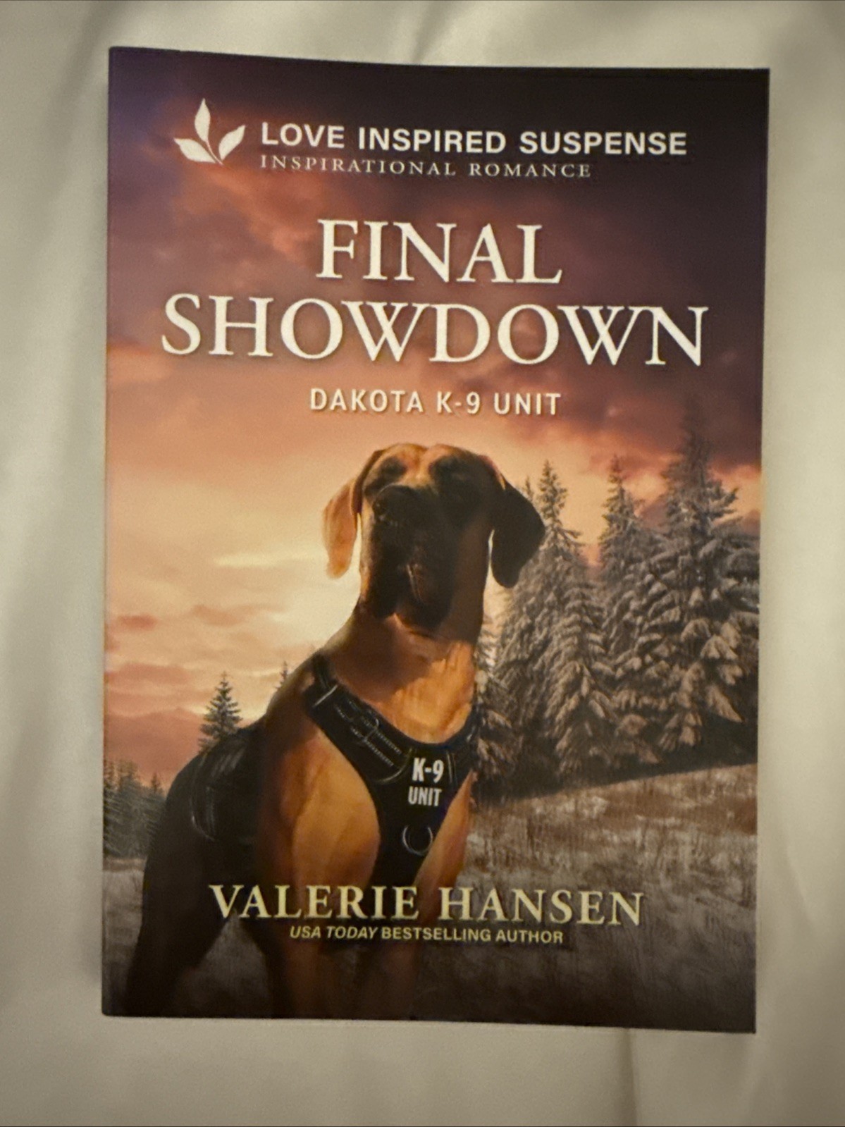Final Showdown Dakota K-9 Unit by Valerie Hansen English
