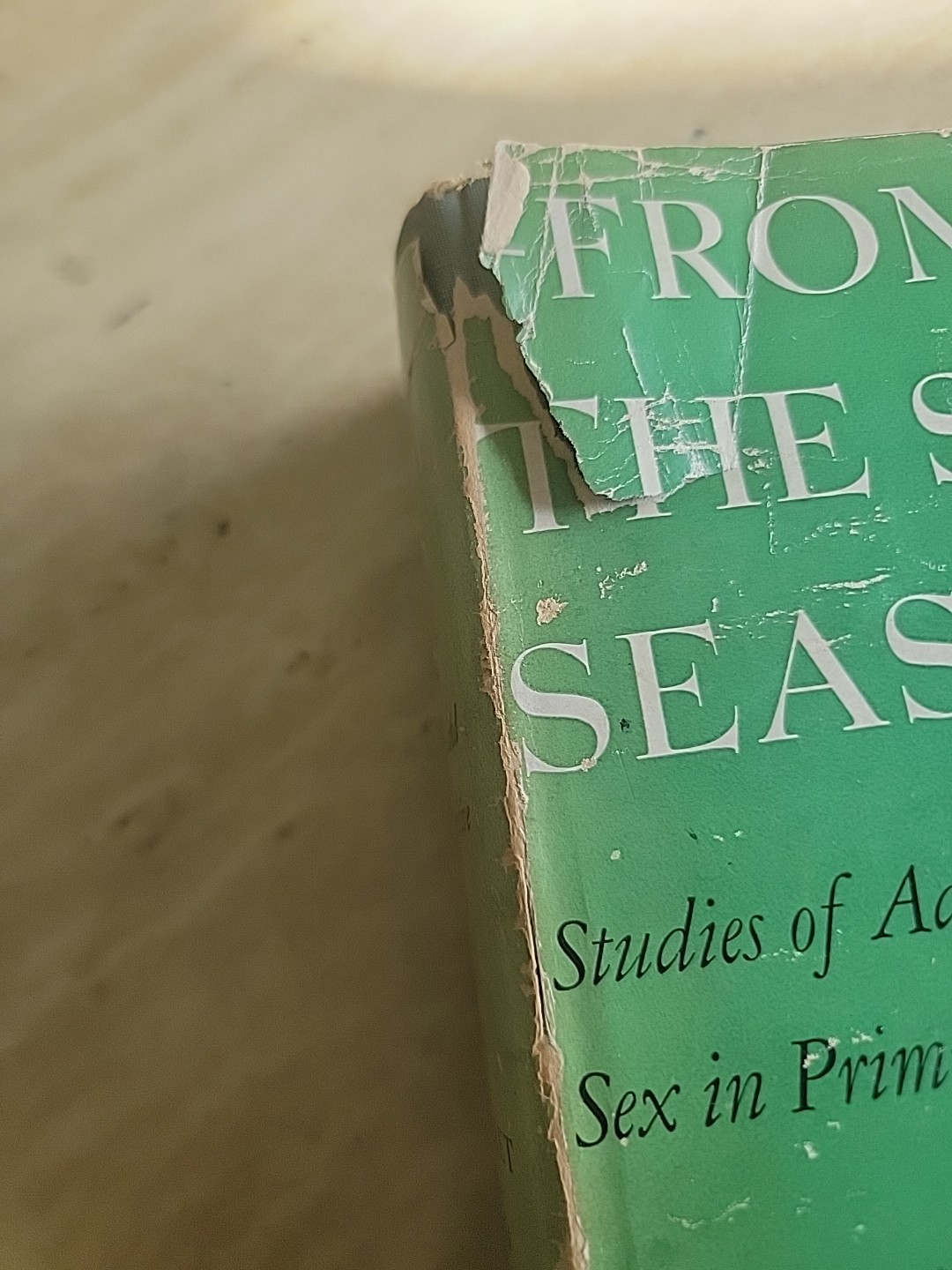1939 Margaret Mead FROM THE SOUTH SEAS William Morrow & Company HCDJ