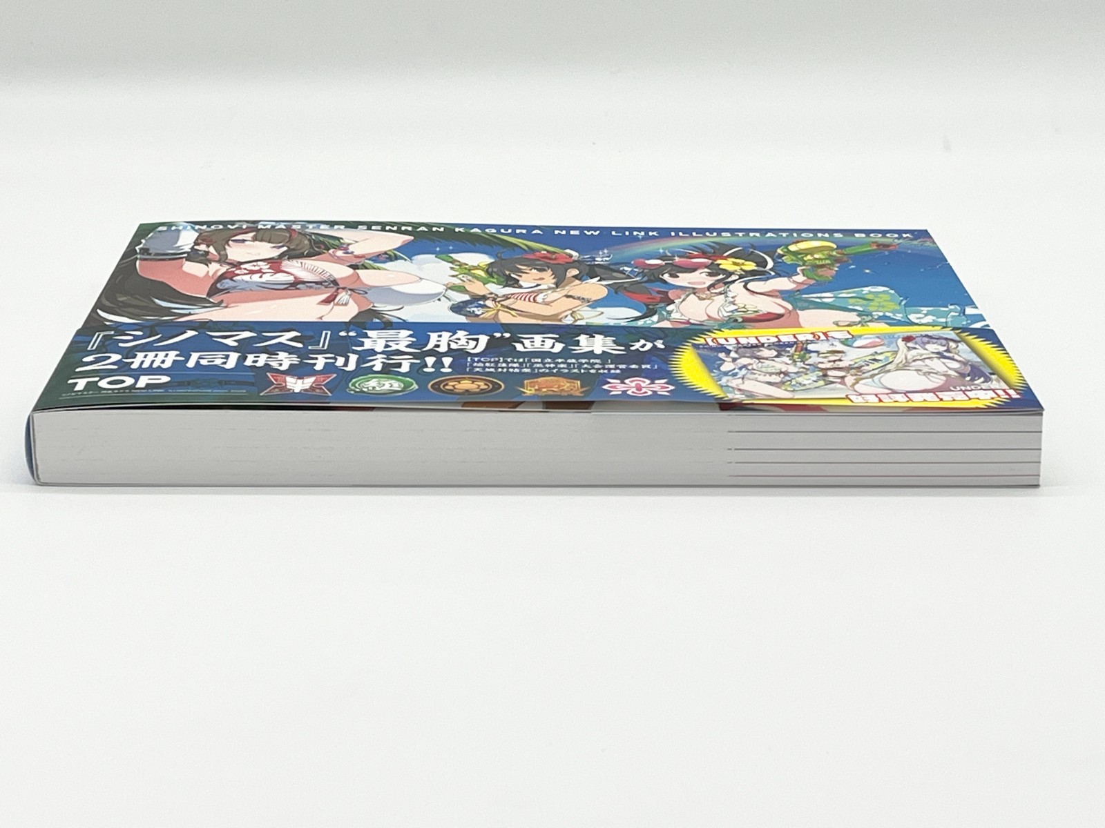 Shinobi Master Senran Kagura New Link Illustrations Book Vol 1-2 Japanese Text