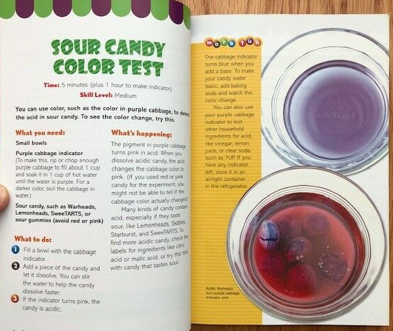 Candy Experiments: By Leavitt, Loralee (Paperback, 146 pages very clean)