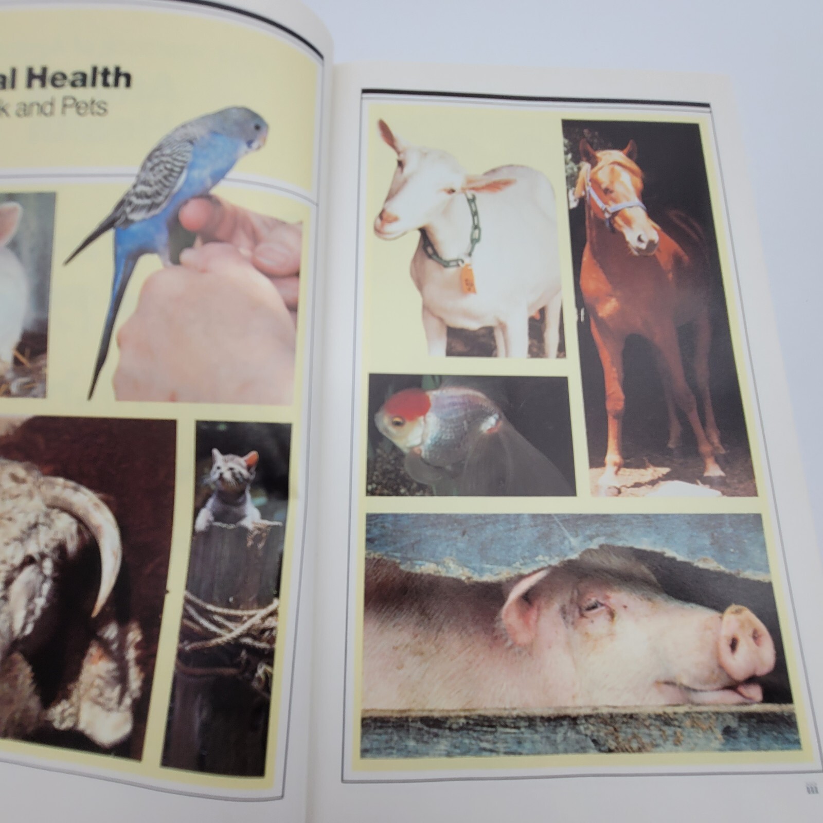 Animal Health Livestock and Pets 1984 Yearbook of Agriculture