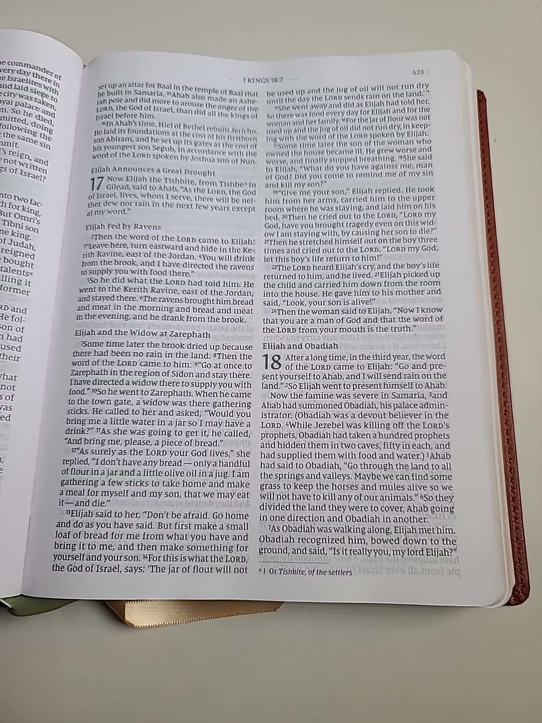 Flourish: The NIV Bible for Women, Leathersoft, Brown