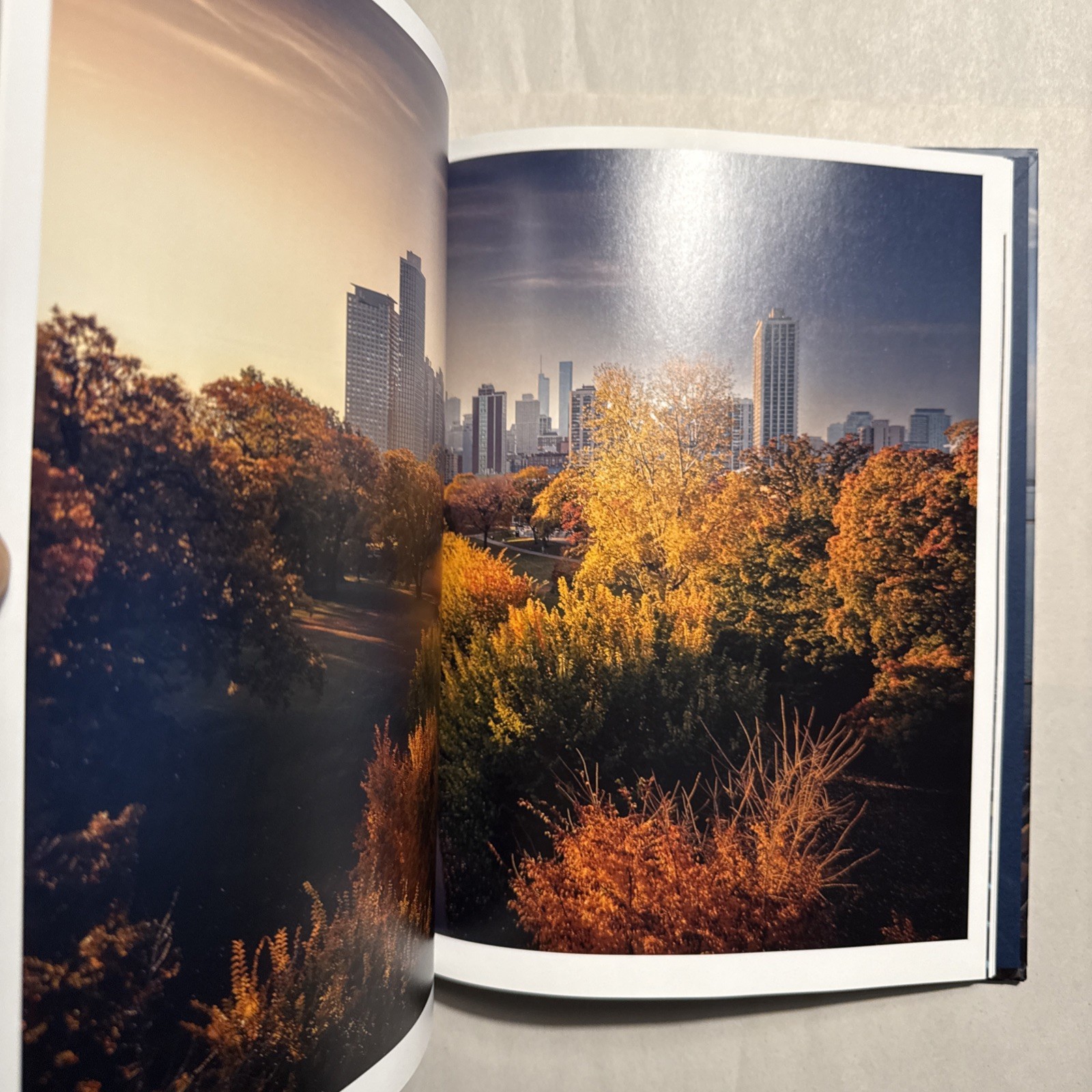 Above and Across Chicago, Edited by Landers, Fitzgerald,