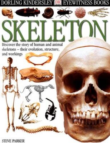 Eyewitness: Skeleton – Hardcover By Parker, Steve – GOOD