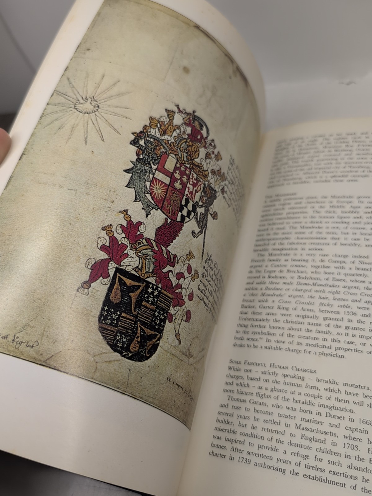 The Heraldic Imagination – Rodney Dennys – Rare 1975 Heraldry Book w/ Plates