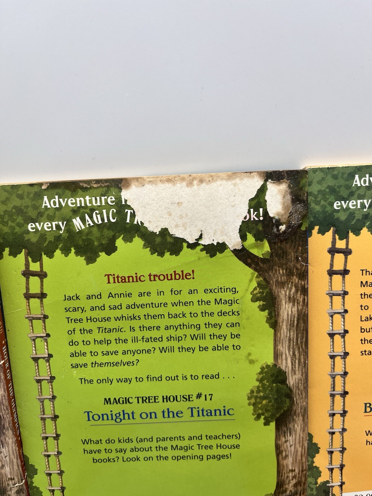 HUGE Lot of 57 The Magic Tree House Series Books Not Complete Set Most SC 1 HC