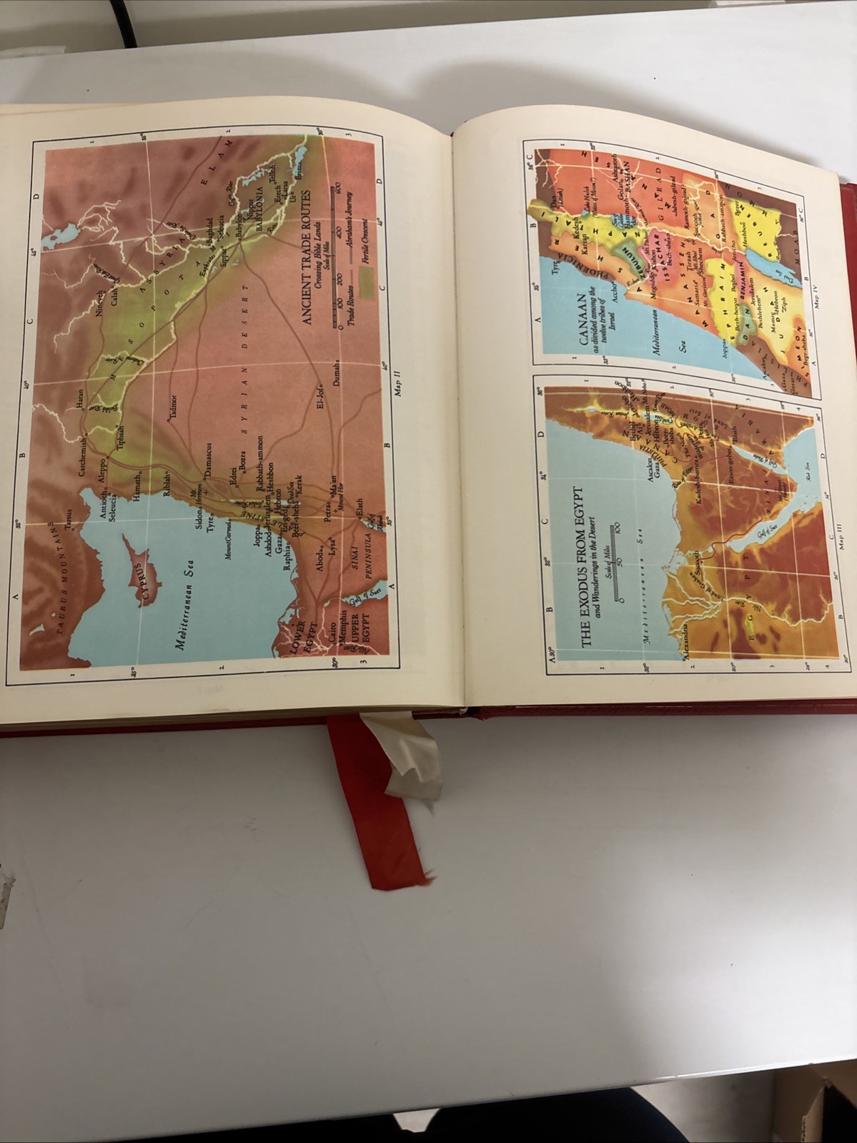 Holy Bible NAB Red. The New American Bible. Catholic Press World