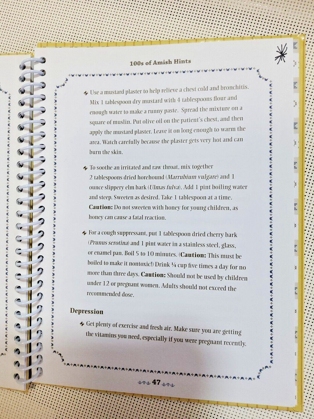 100’s of Amish Hints Book Writing inside front flap